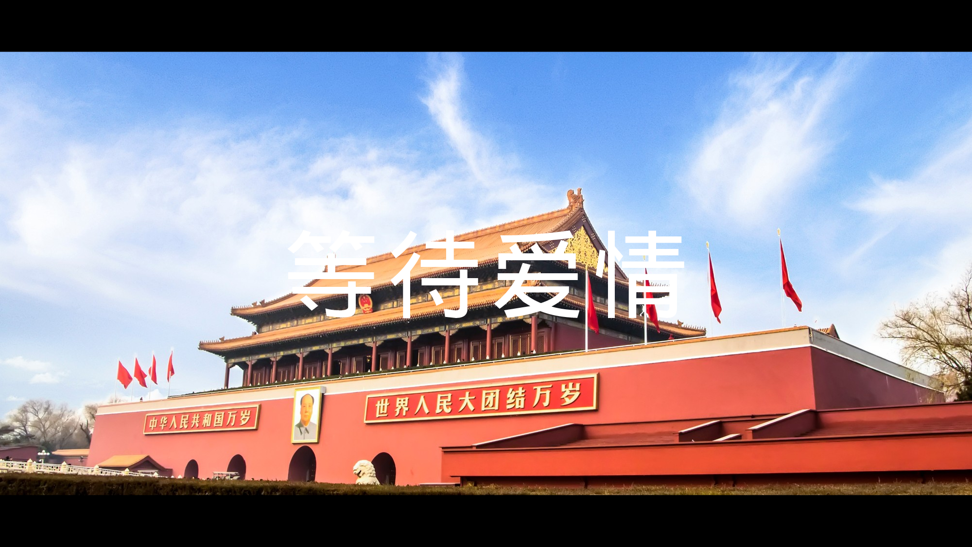 【编号28】杂志风故宫旅行画册快闪宣传片PPT模板.pptx 第6页