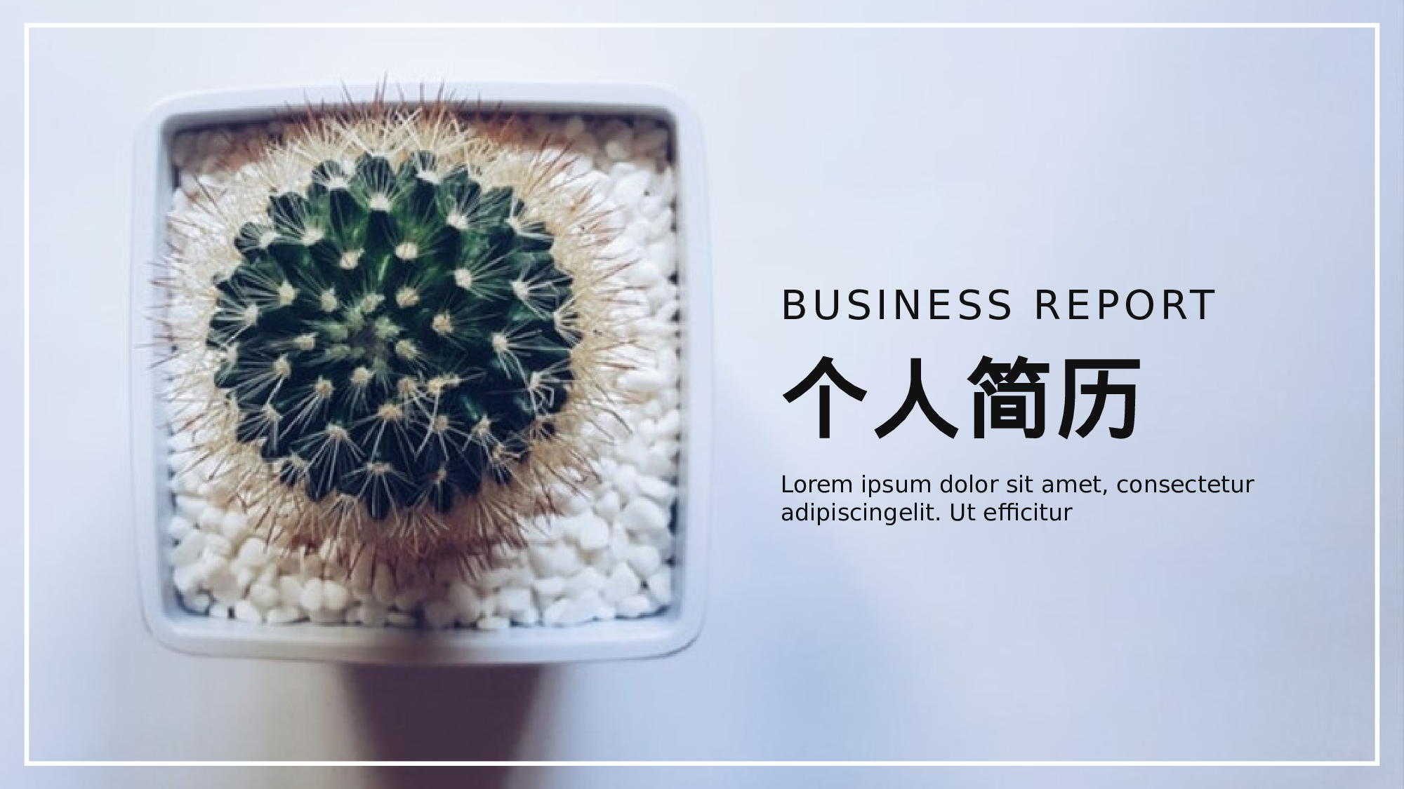 ins风4633.pptx 第1页