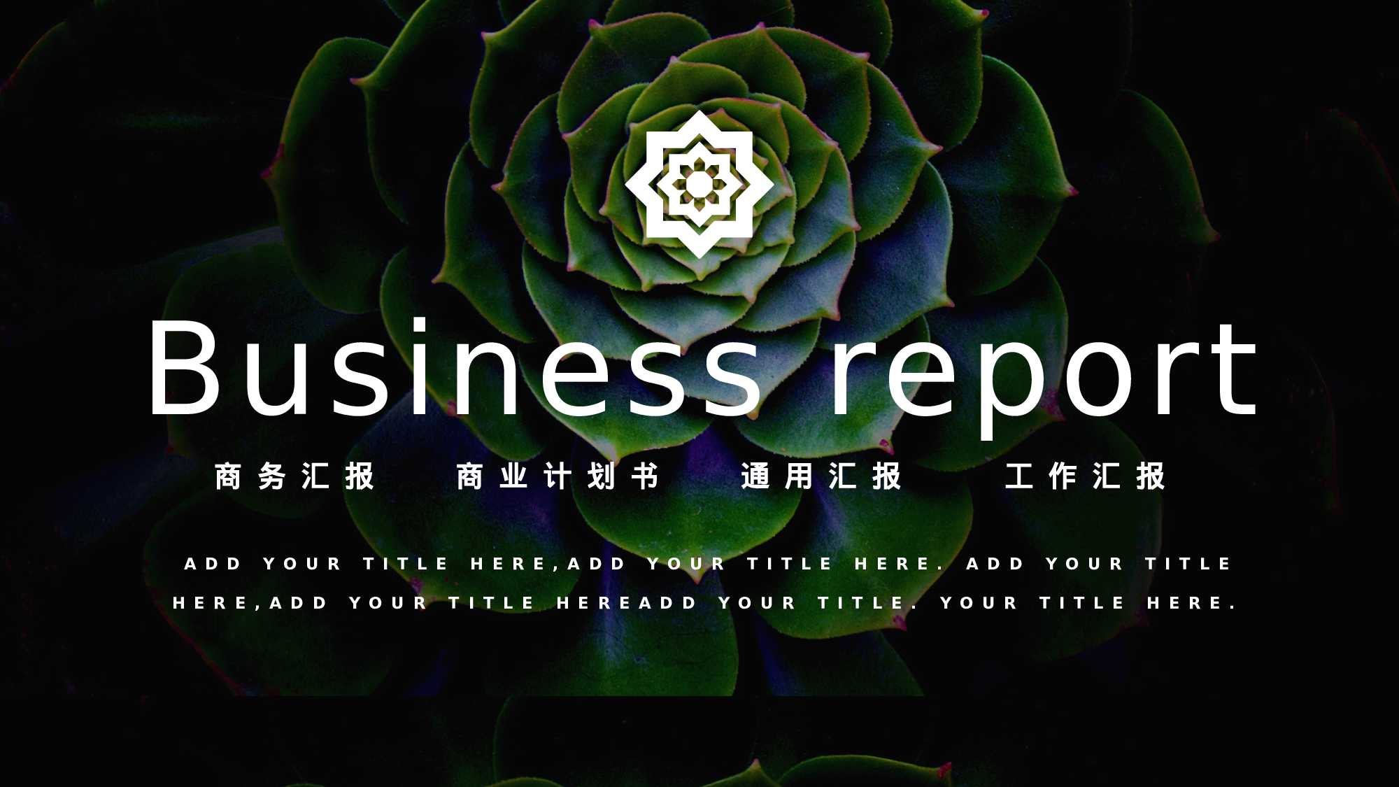 ins风5138.pptx 第1页