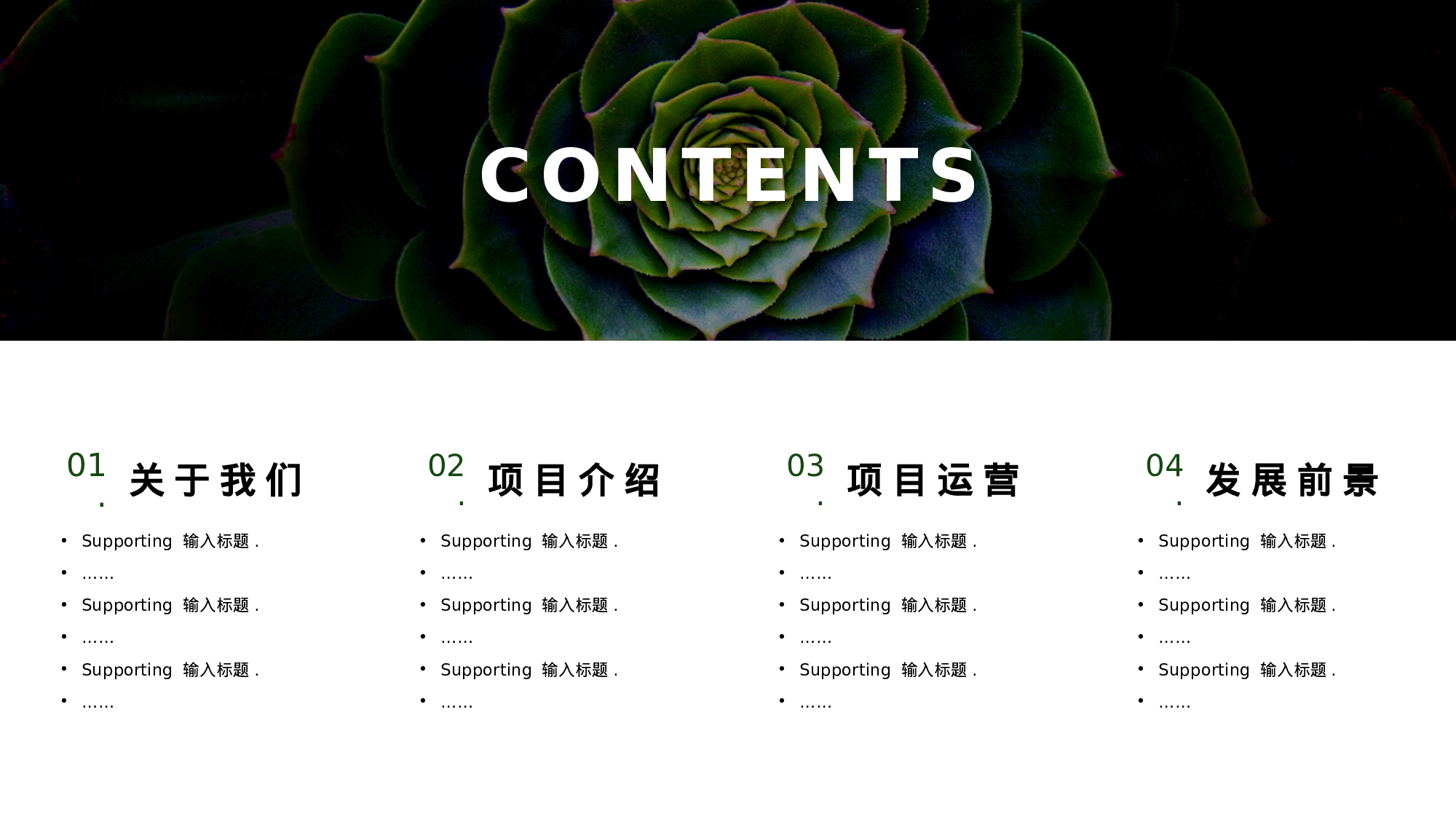 ins风5138.pptx 第2页