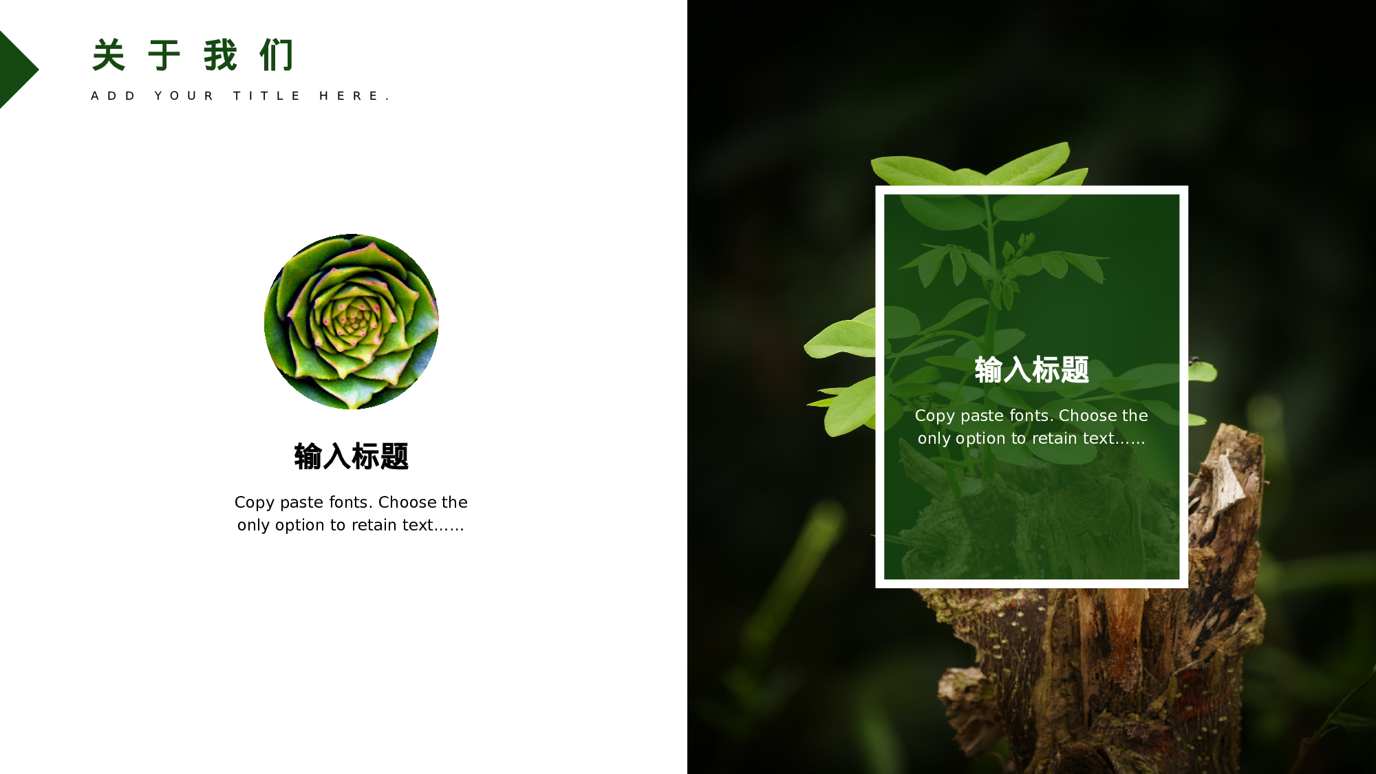 ins风5138.pptx 第4页