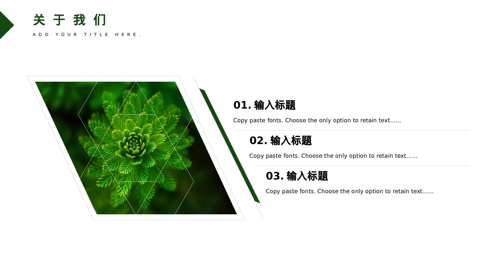 ins风5138.pptx 第5页