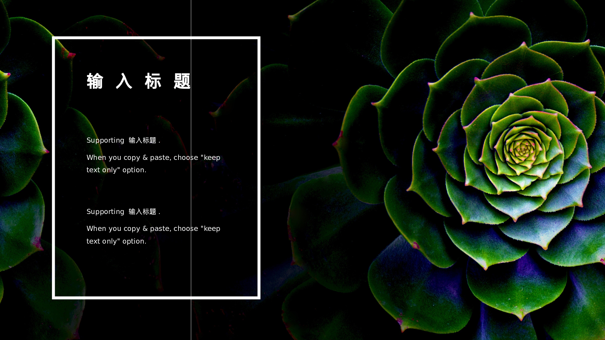 ins风5138.pptx 第6页