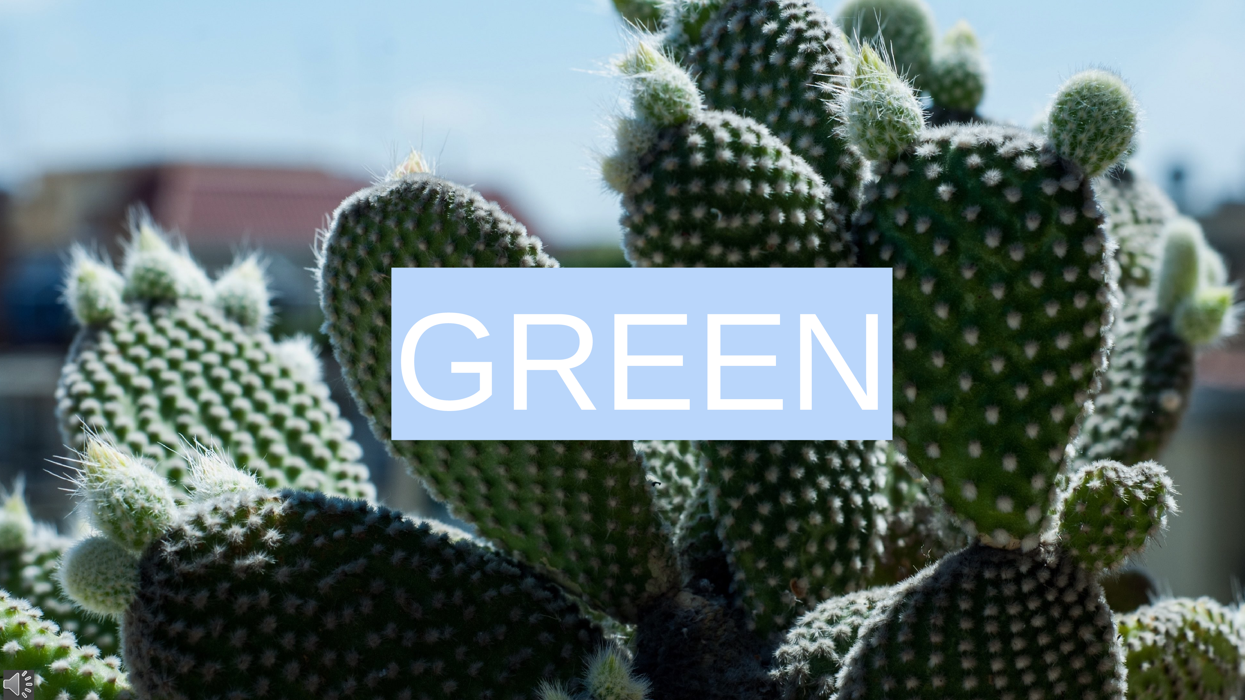 ins风5239.pptx 第1页