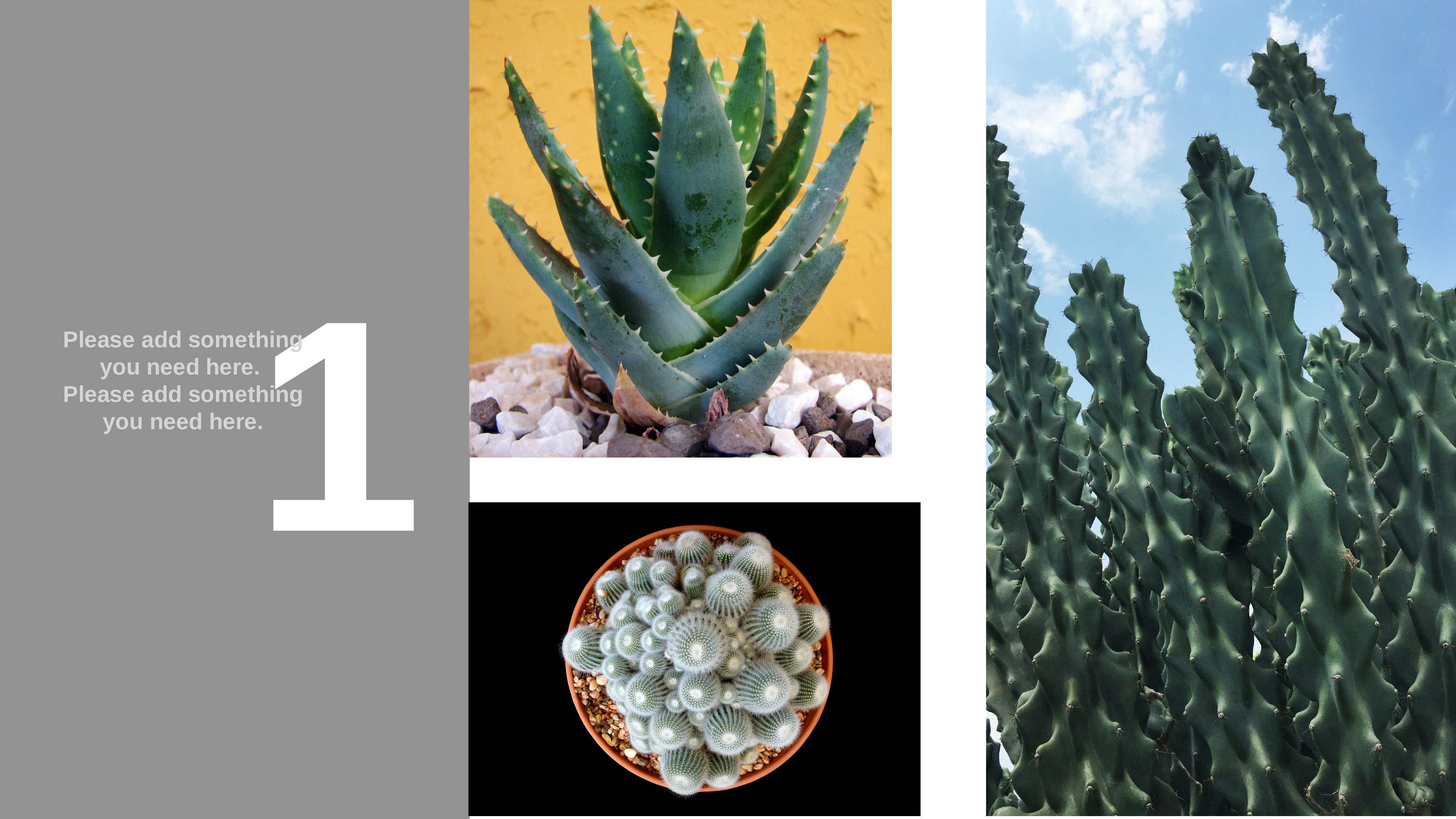 ins风5239.pptx 第4页