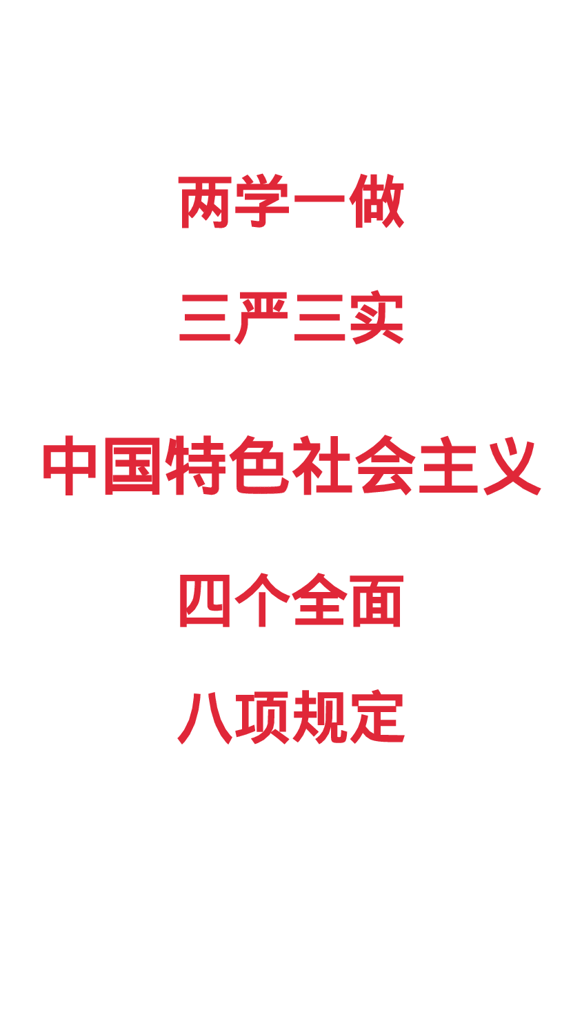 【编号02】快闪十九大报告300秒.pptx 第2页
