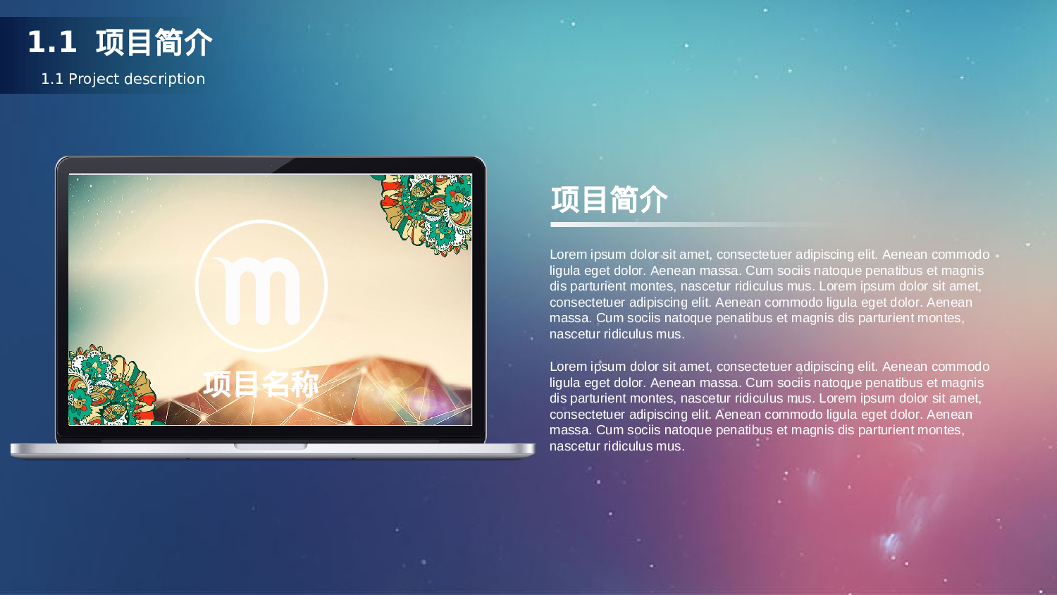 静态精选PPT (9).ppt 第4页