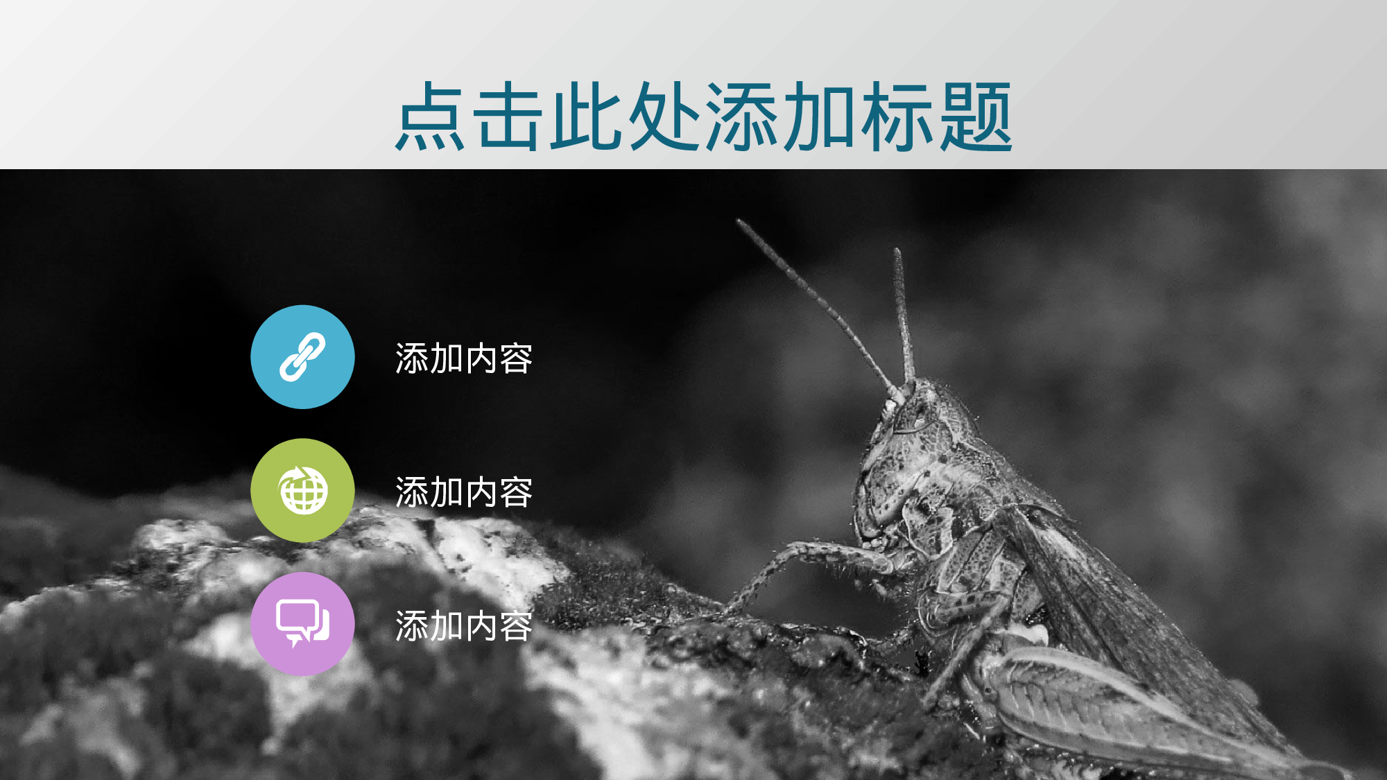 静态精选PPT (1).ppt 第4页