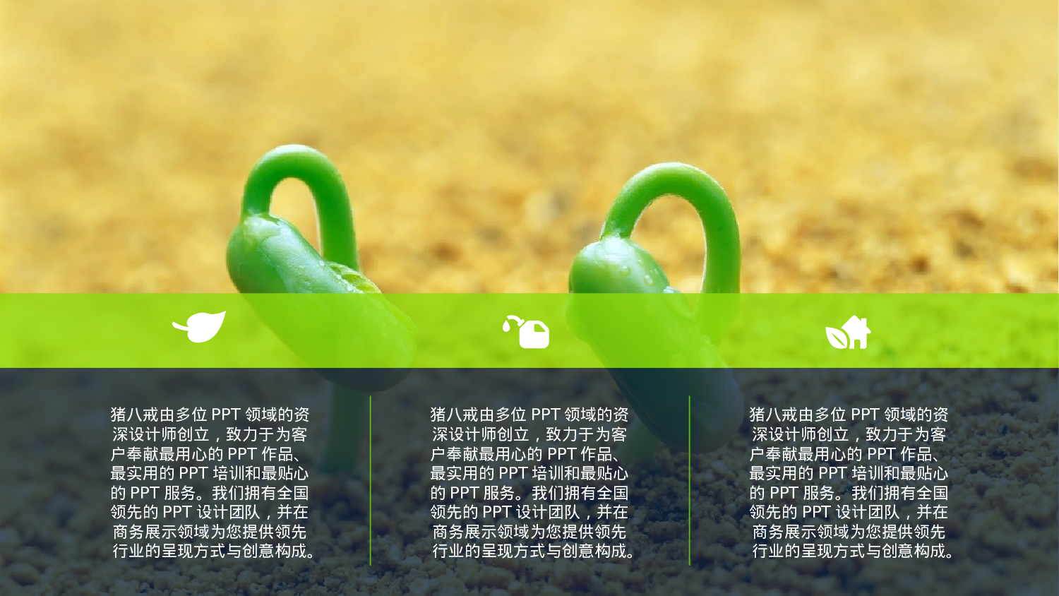 静态精选PPT模板 (4).pptx 第3页