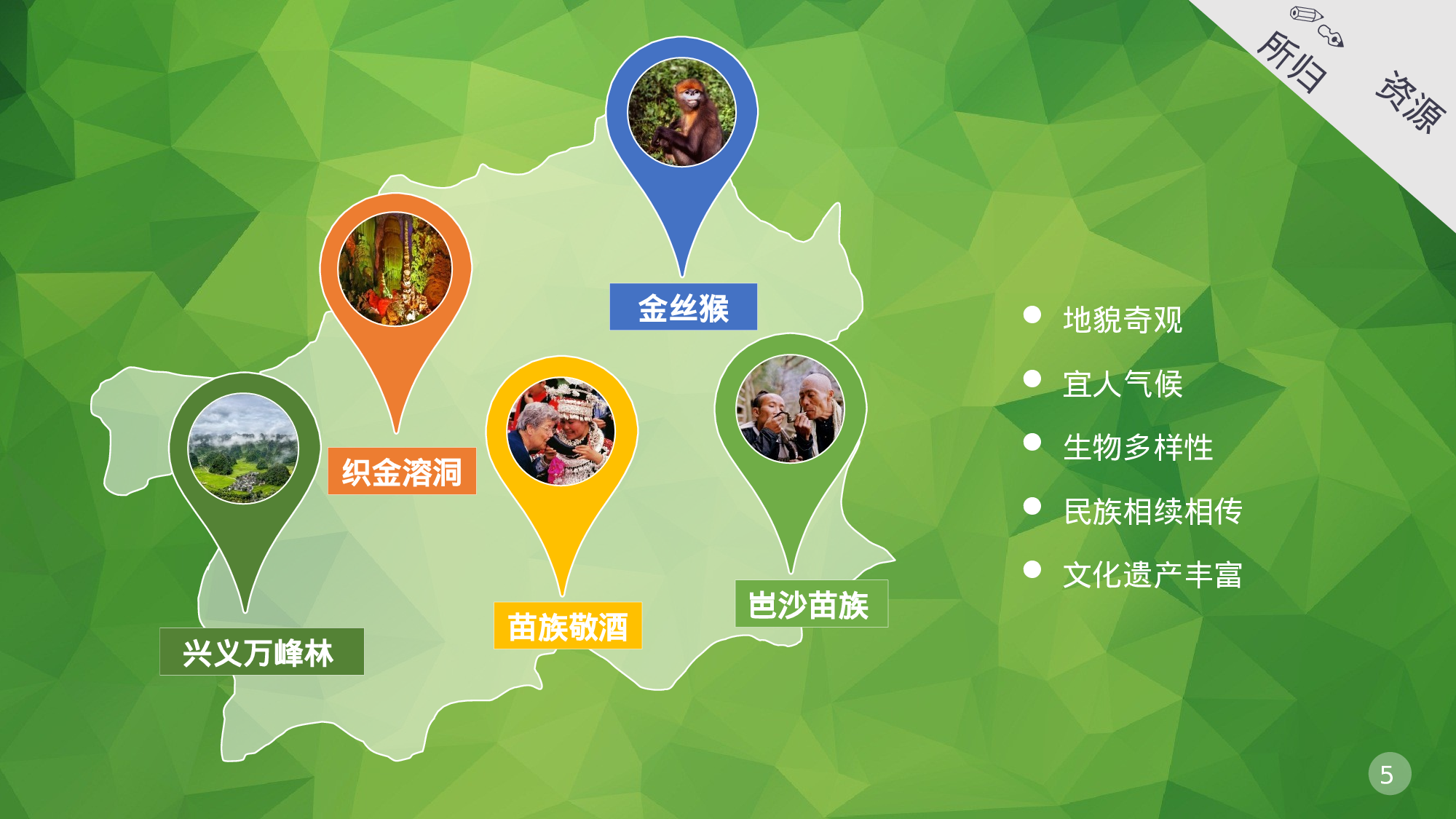 静态精选PPT模板 (5).pptx 第5页