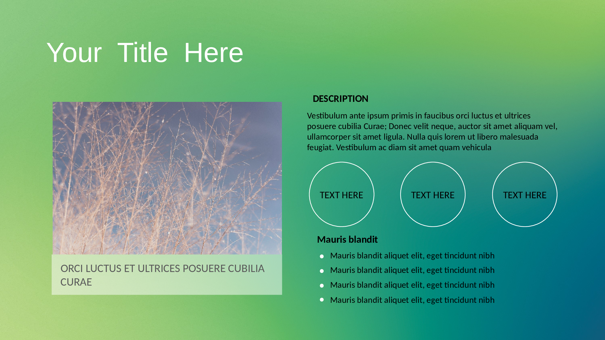 唯美清新2829.pptx 第5页