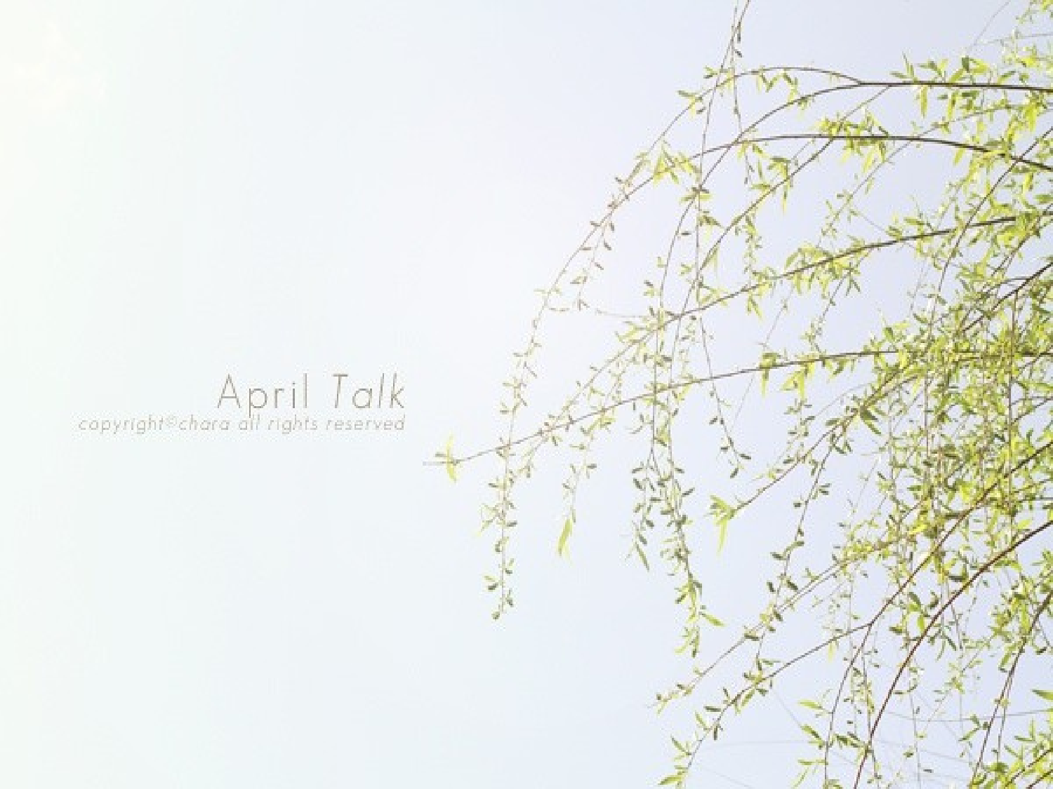 唯美清新53f61bad98ced332.ppt 第1页