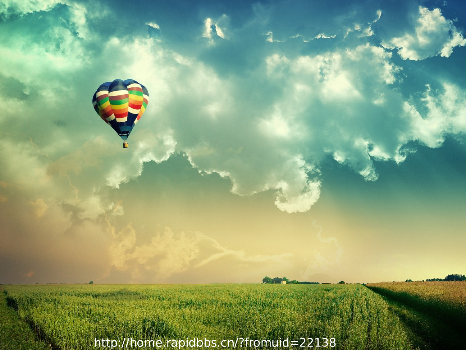 唯美清新NAVER_Dream Fly304.pptx 第1页