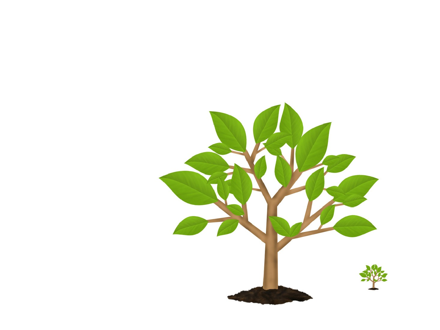 卡通课件 (73).pptx 第2页