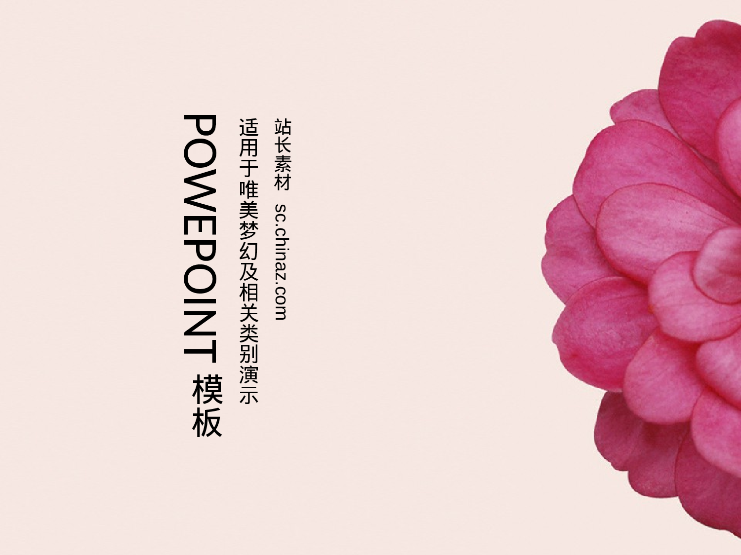 唯美清新ppt3991330.pptx 第1页