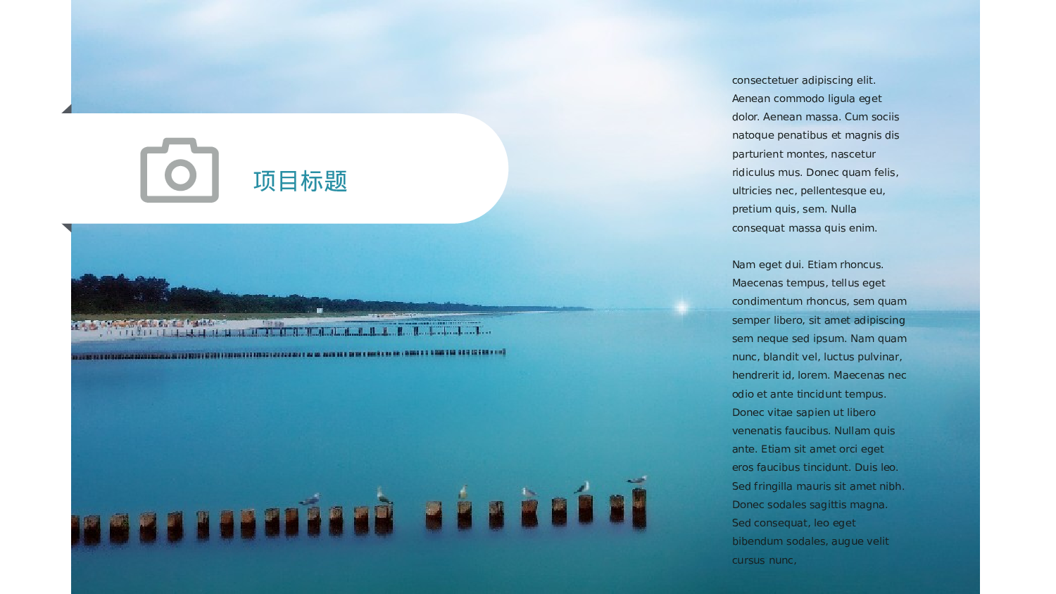 纯色简约 (1).pptx 第2页