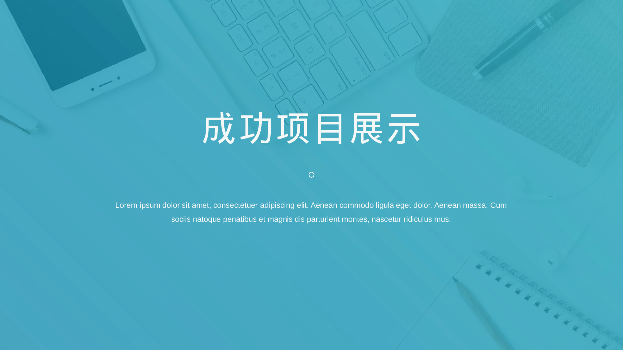 纯色简约 (13).pptx 第5页