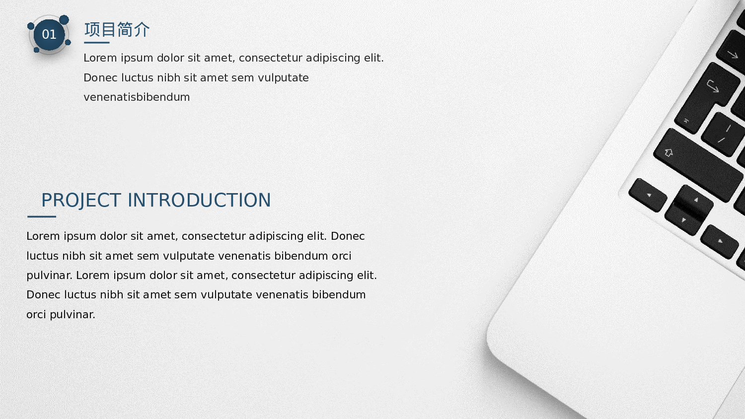 纯色简约 (2).pptx 第4页