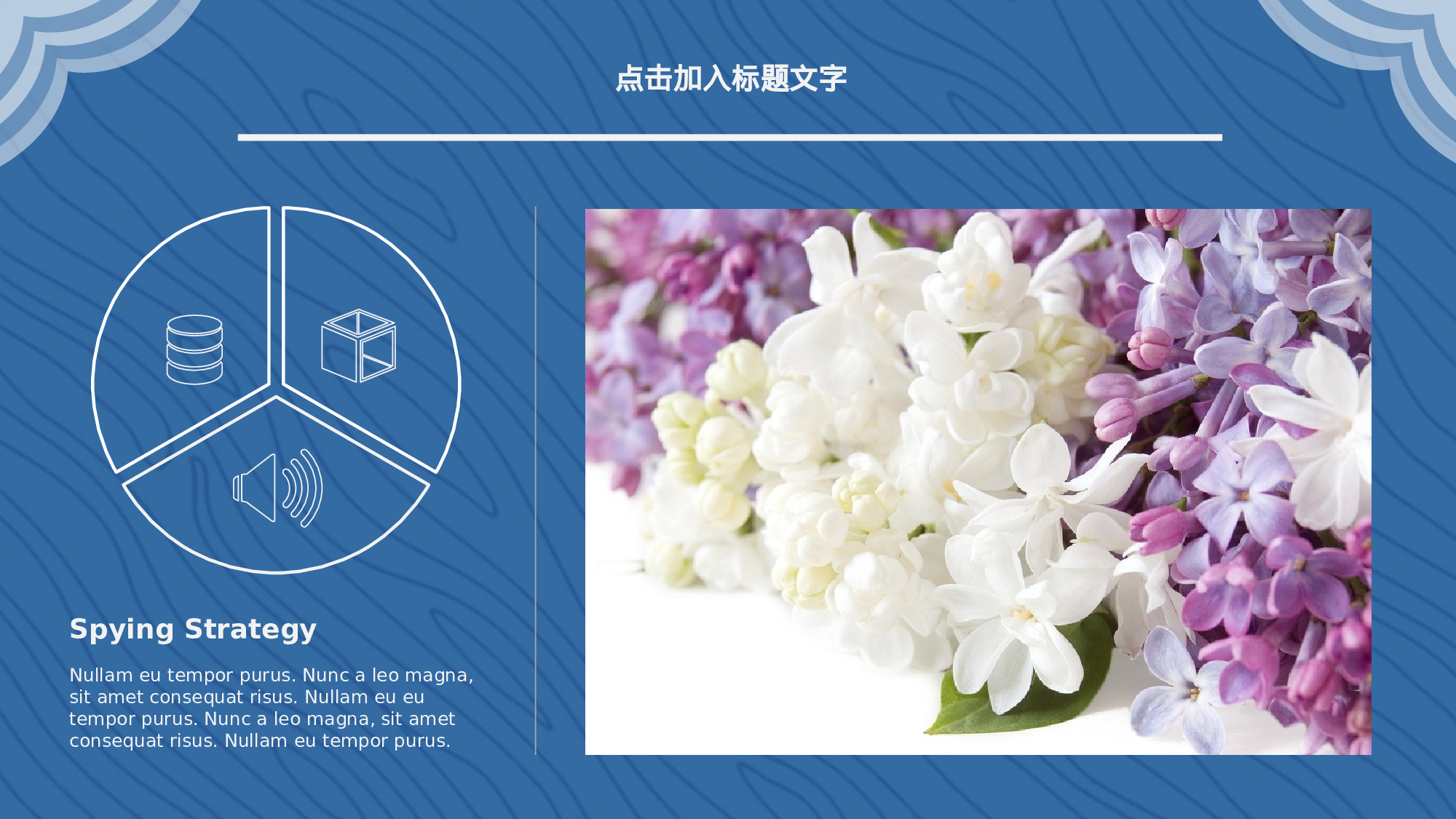 纯色简约 (26).pptx 第5页