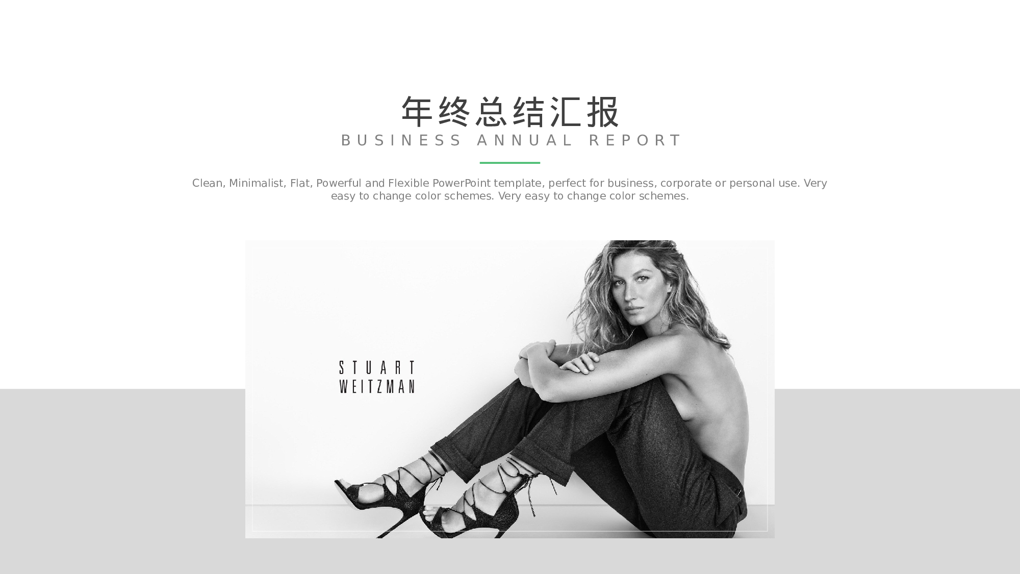 纯色简约 (4).pptx 第1页