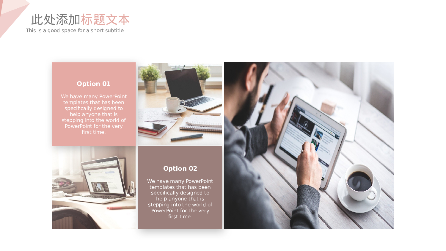 纯色简约 (6).pptx 第6页