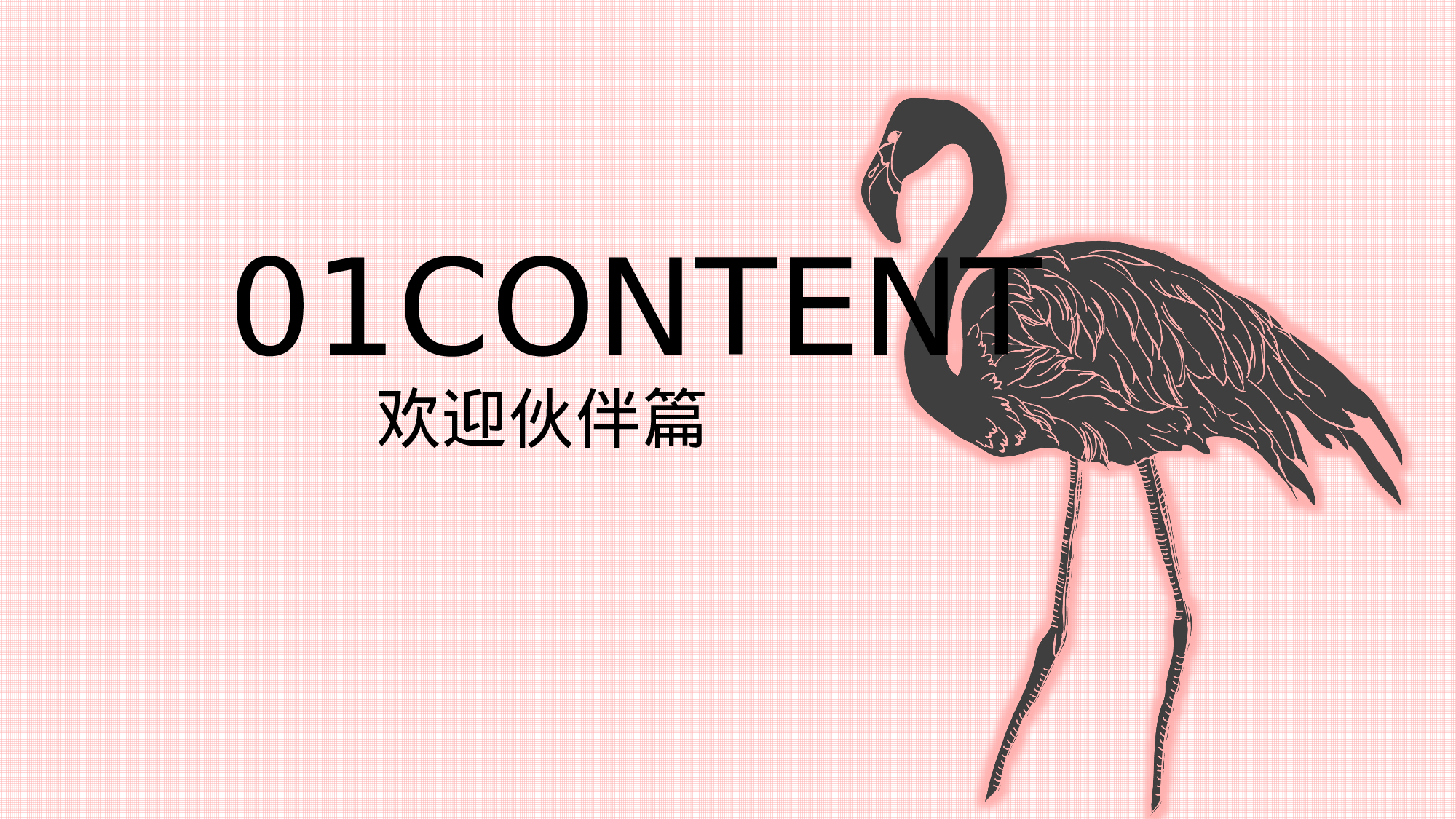 火烈鸟45.pptx 第3页