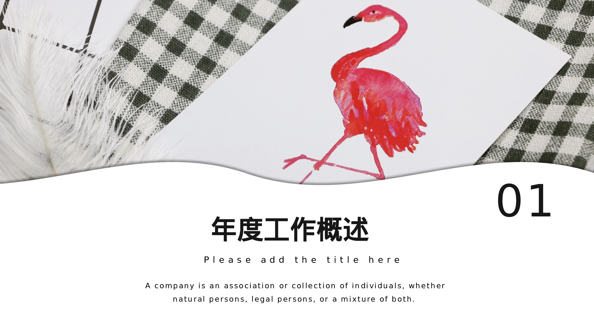 火烈鸟51.pptx 第3页