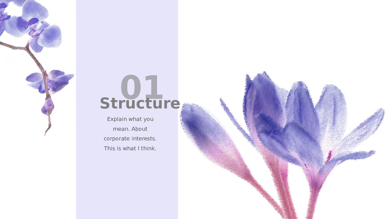 17.手绘风格.pptx 第3页