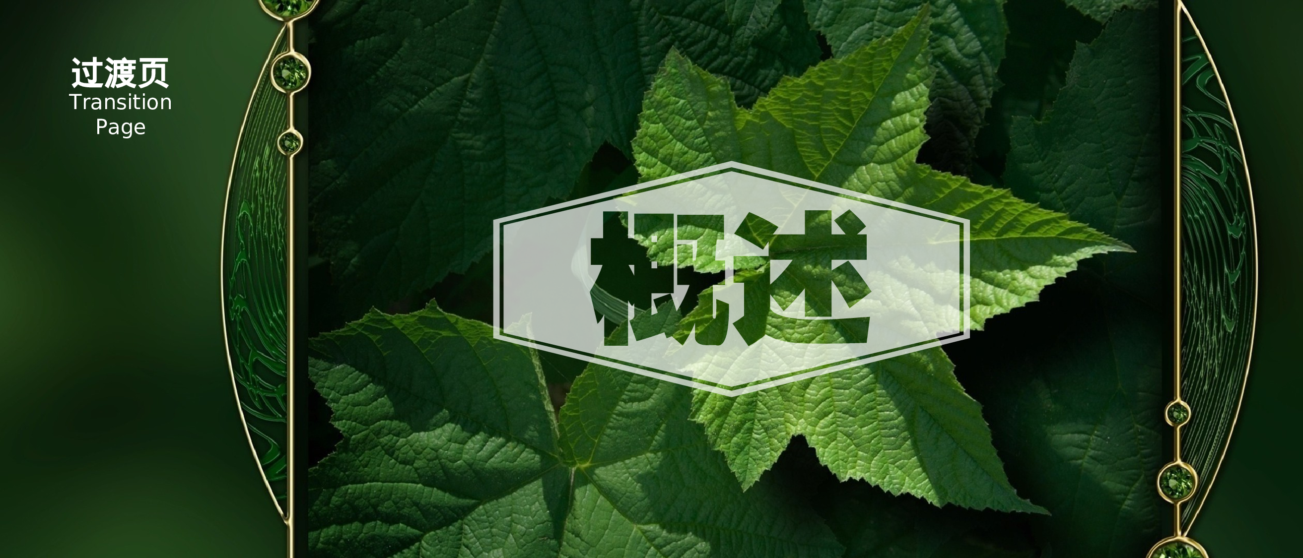 静态模板076.ppt 第3页