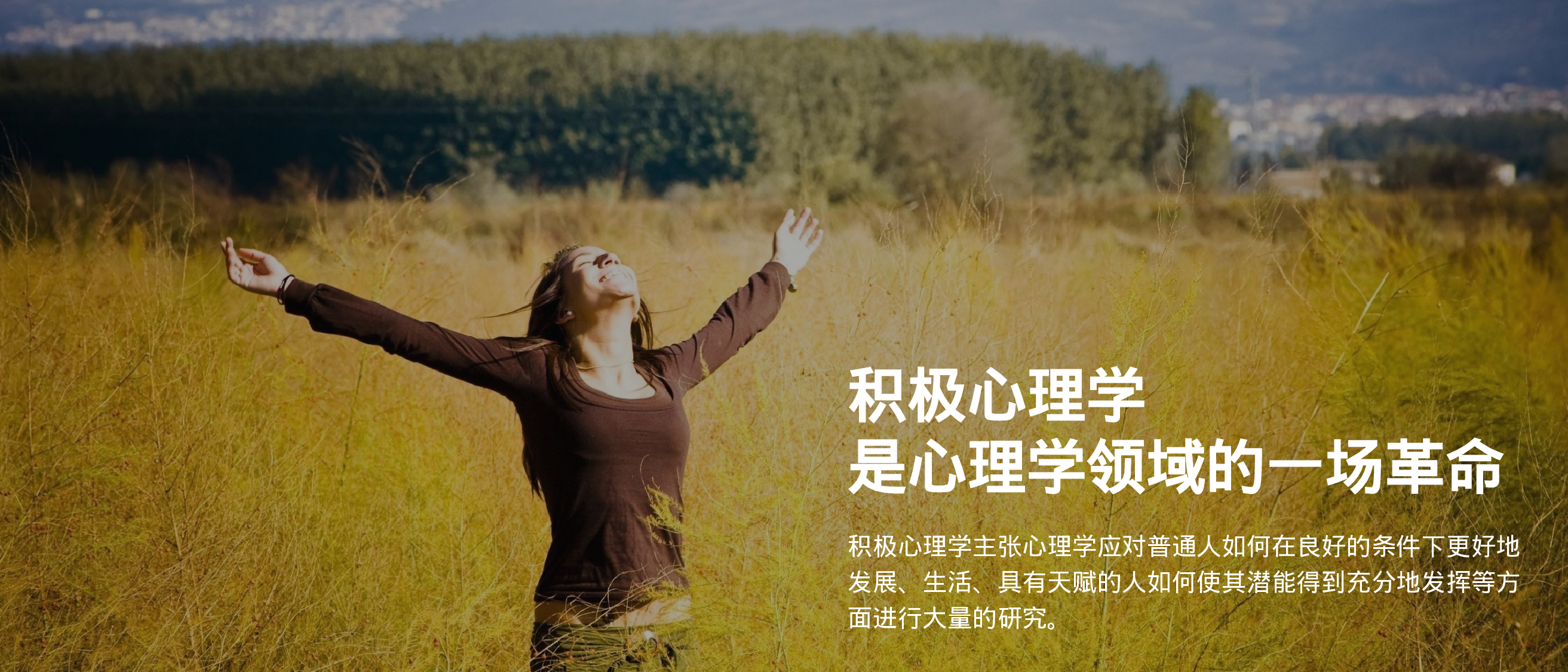 静态模板076.ppt 第5页