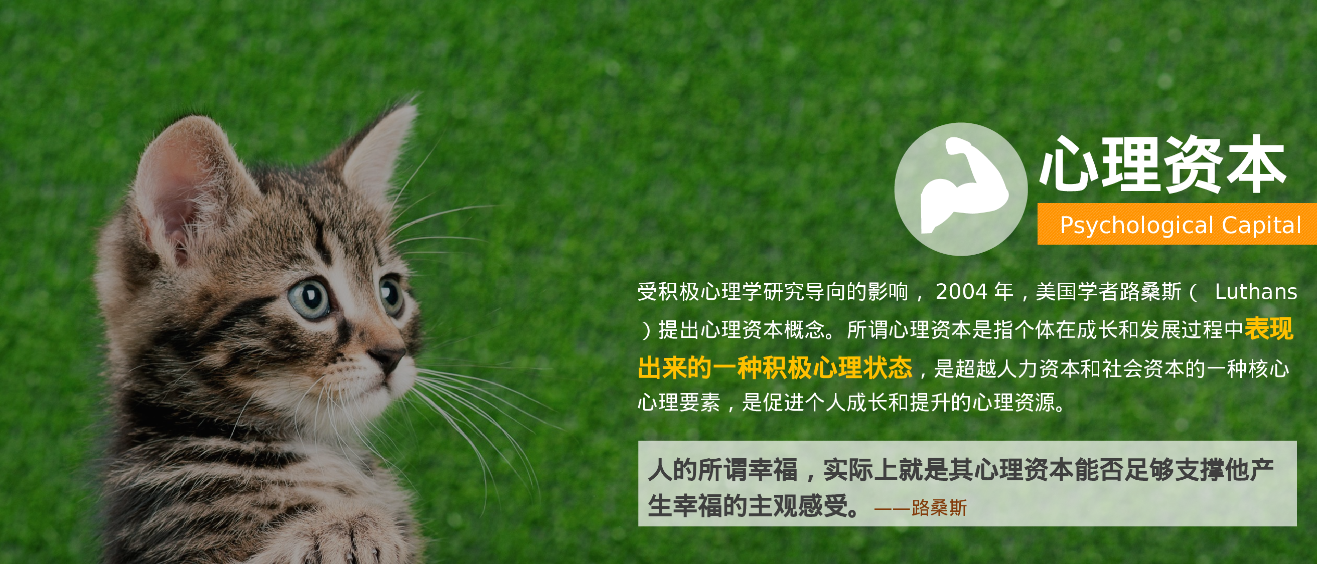 静态模板076.ppt 第6页