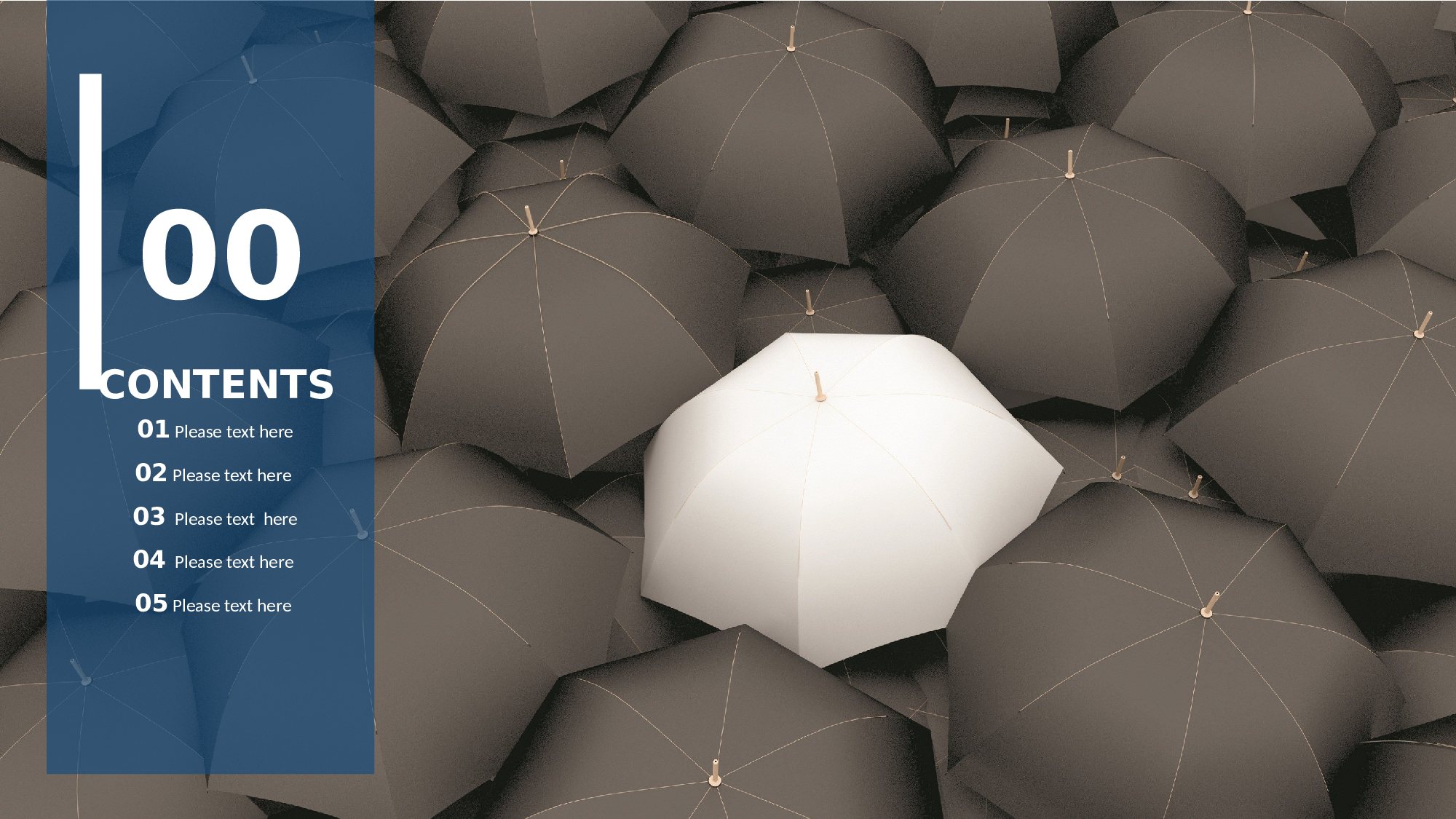 静态模板092.ppt 第2页