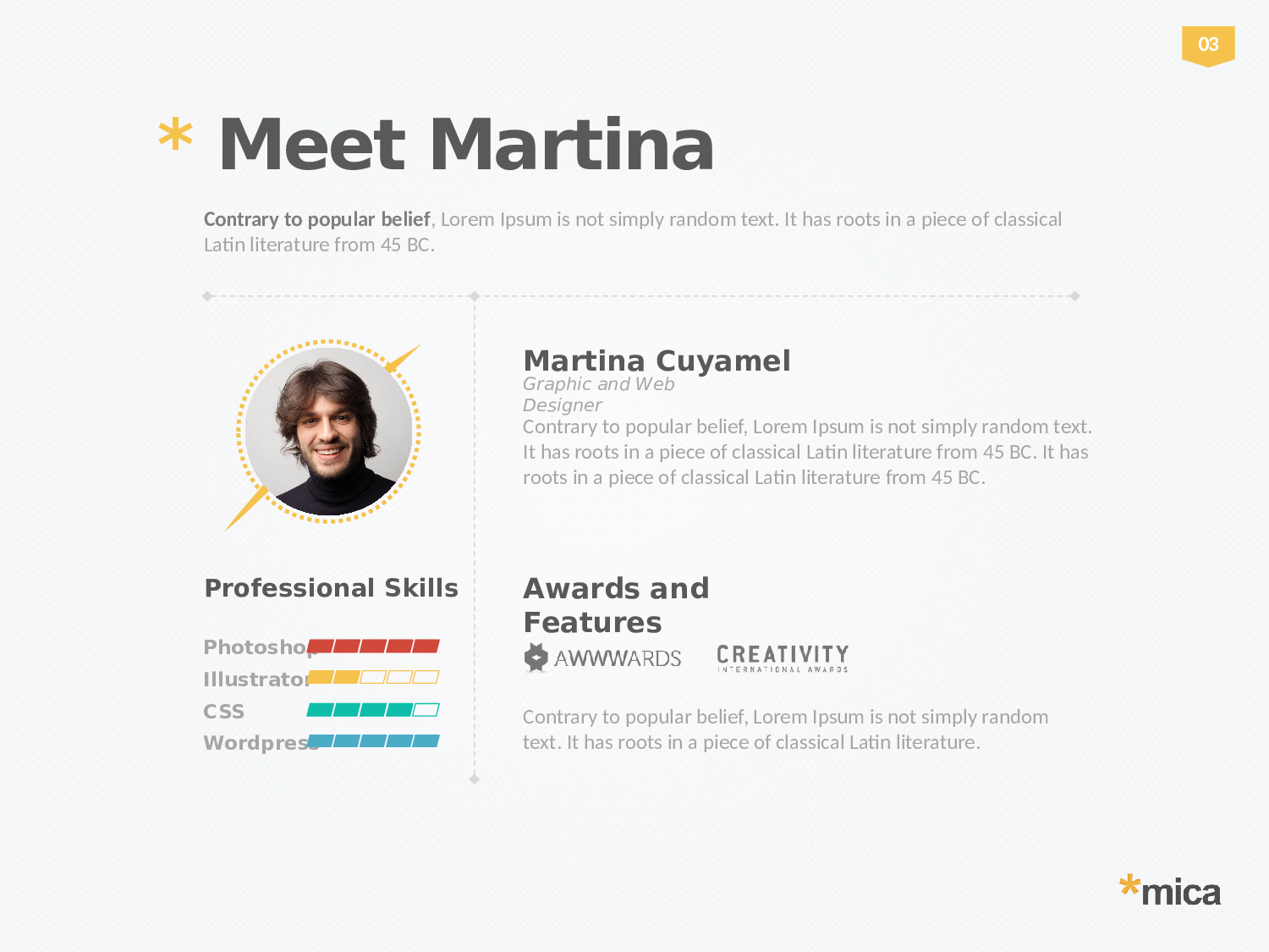 年终商务工作总结模板0931.pptx 第5页