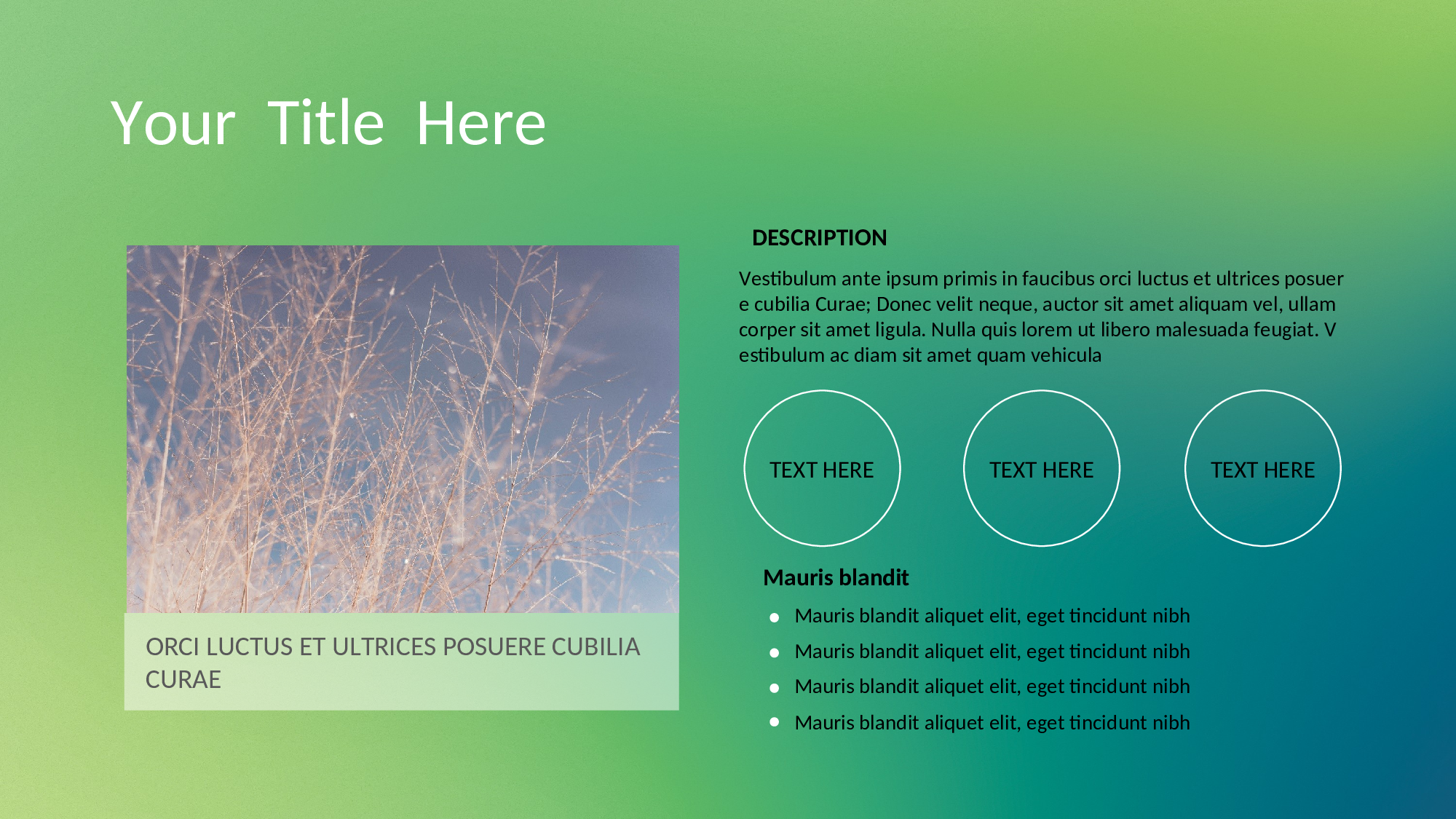 唯美清新W029文艺唯美静态模版257.ppt 第6页