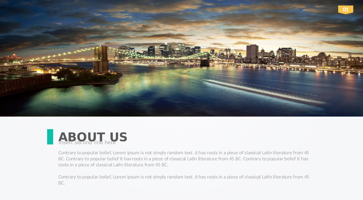 欧business (21).pptx 第3页