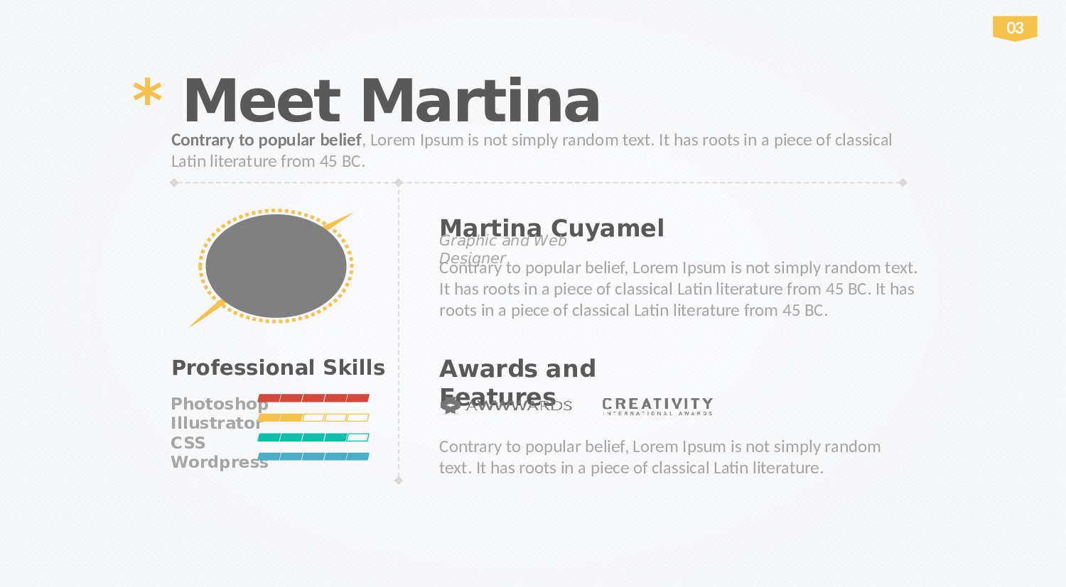 欧business (21).pptx 第5页