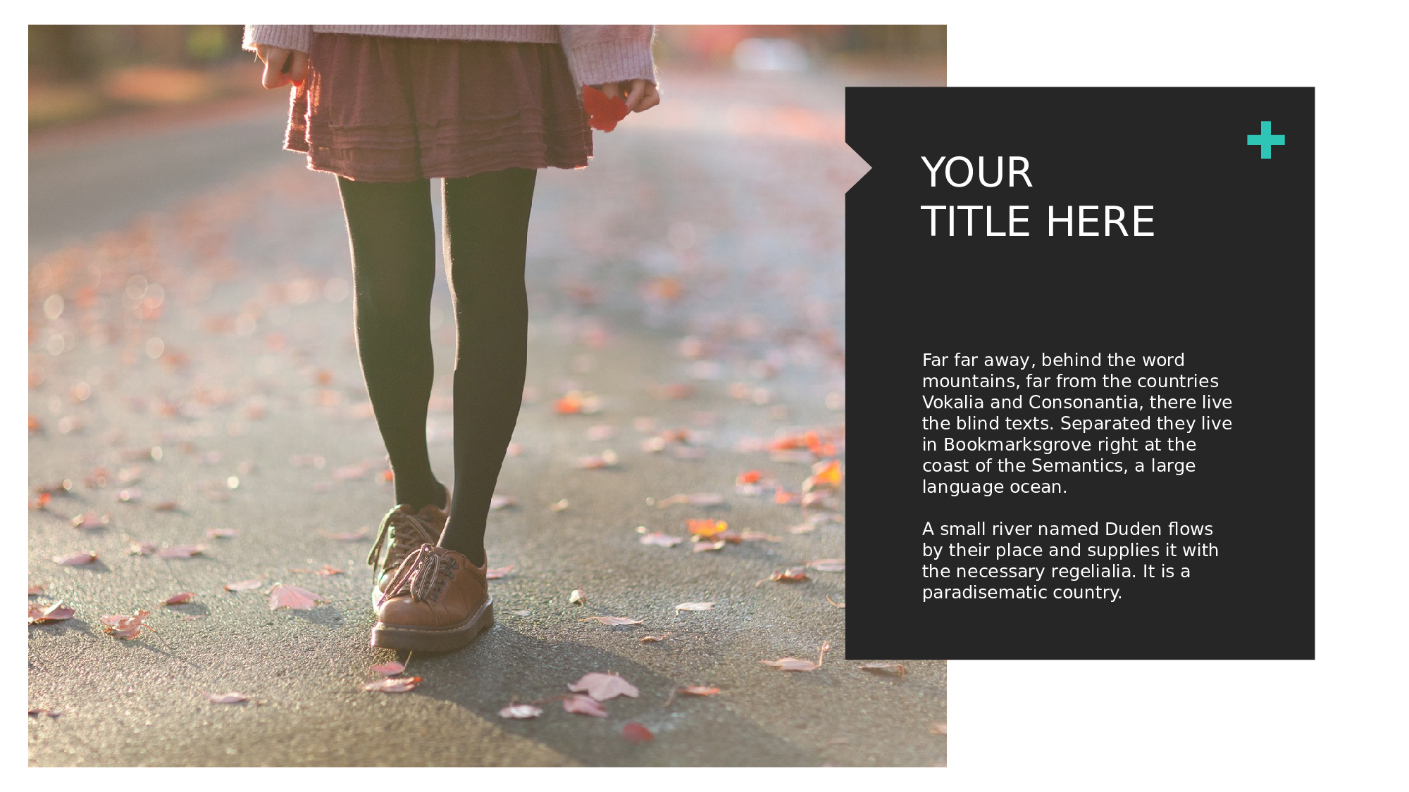 欧美商务(18)19.pptx 第4页