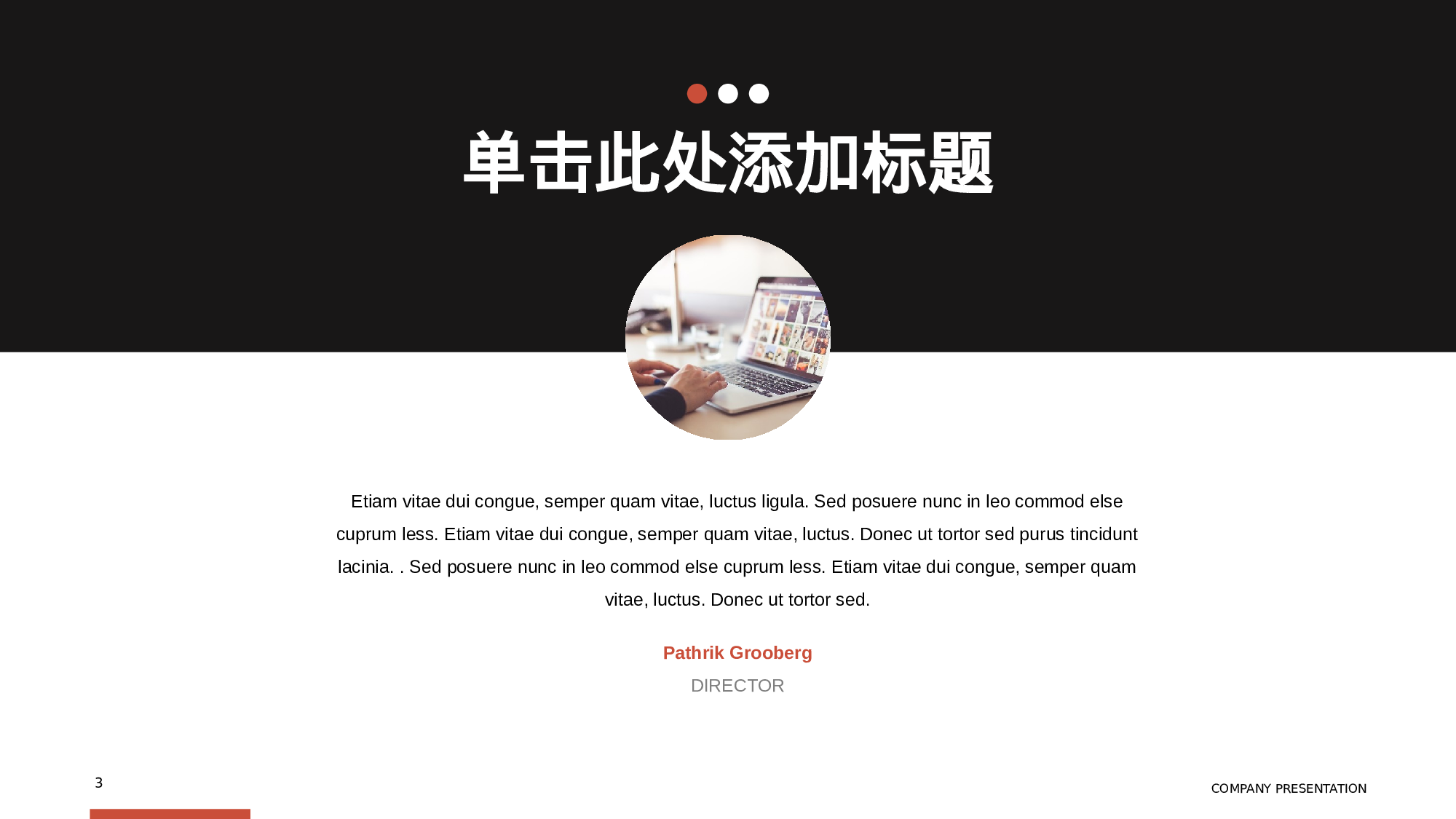 欧美商务(20)21.pptx 第3页