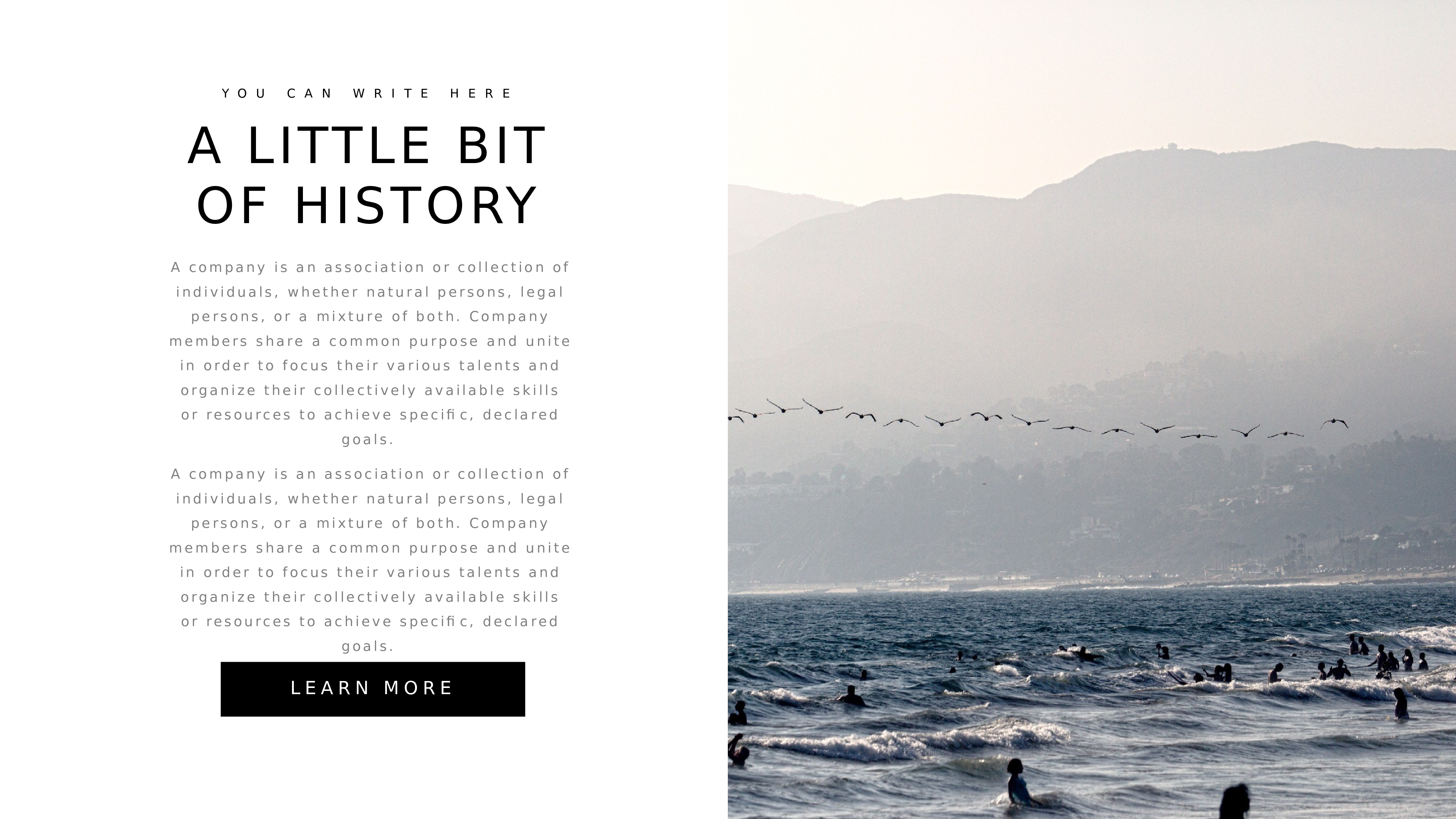 欧美商务1.pptx 第2页