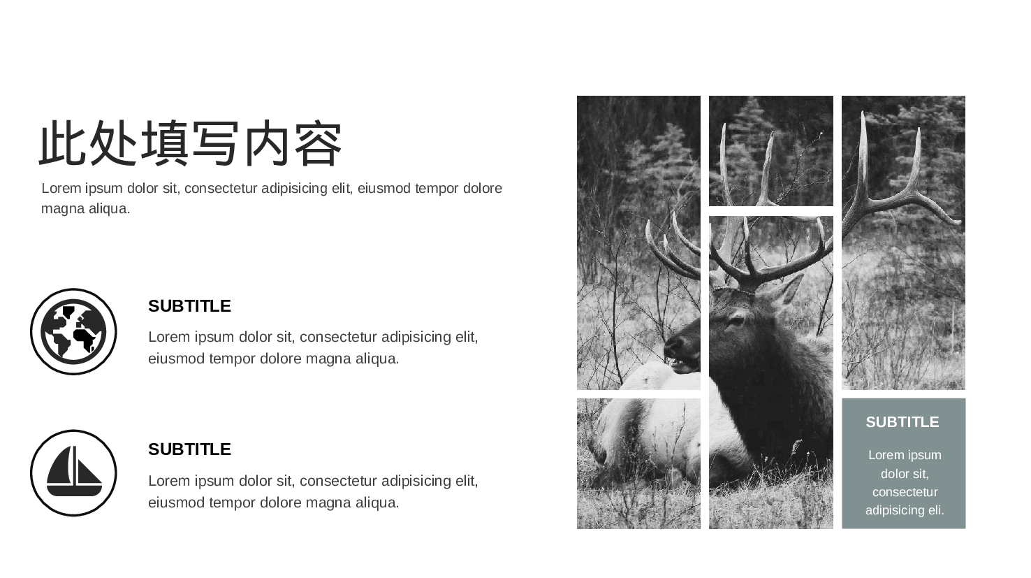 欧美大气精选PPT模板【02】.pptx 第2页