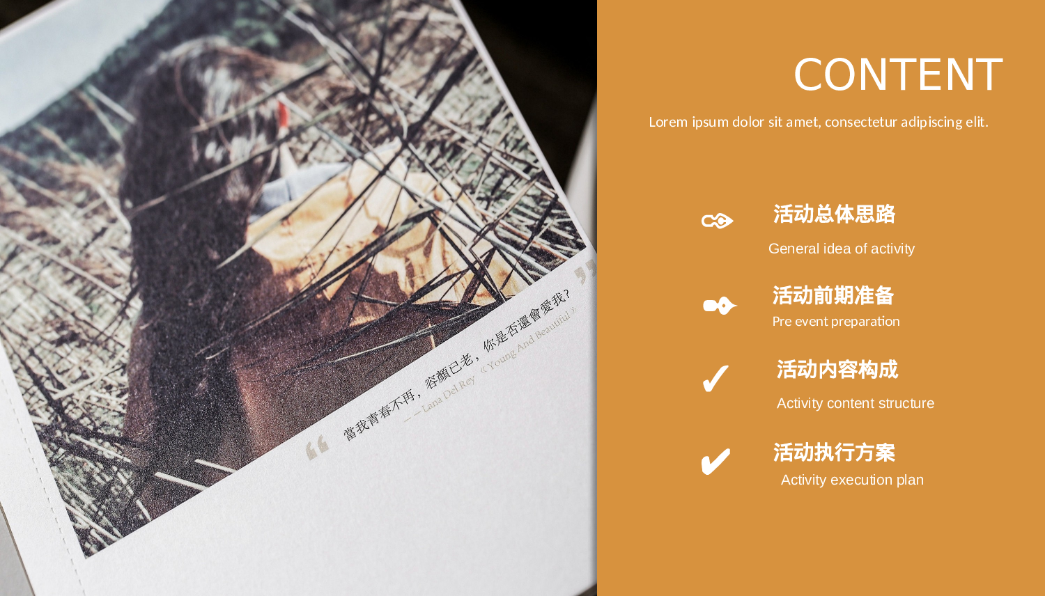 欧美大气精选PPT模板【17】.pptx 第2页