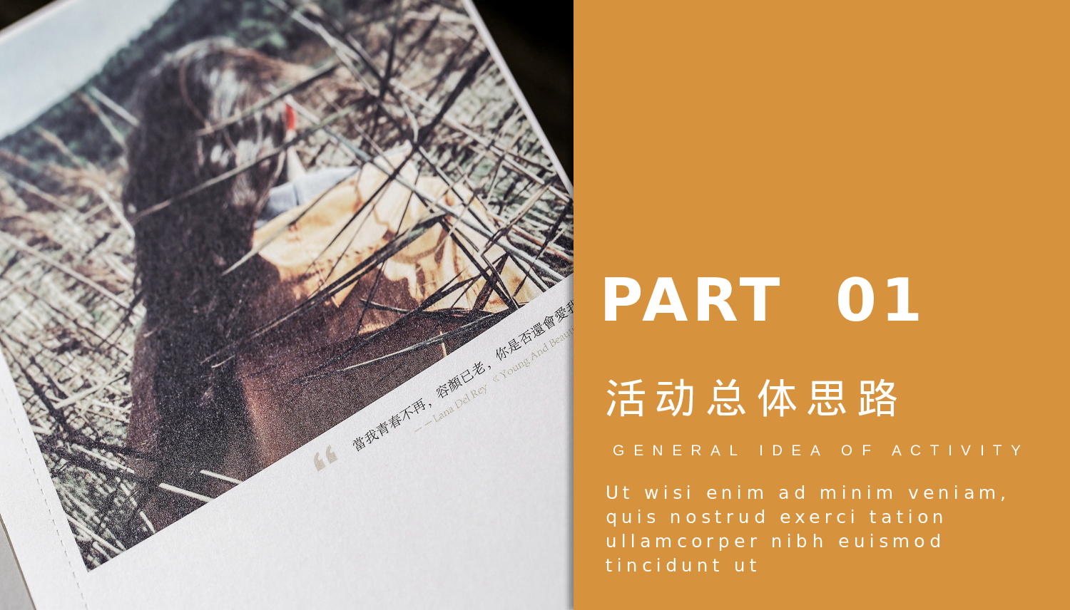 欧美大气精选PPT模板【17】.pptx 第3页