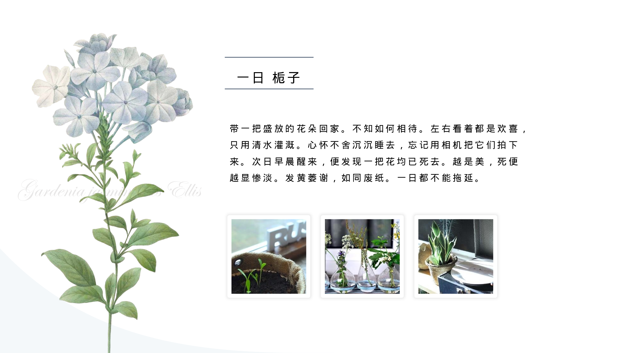 手绘风SHOUHUID-2323.pptx 第4页