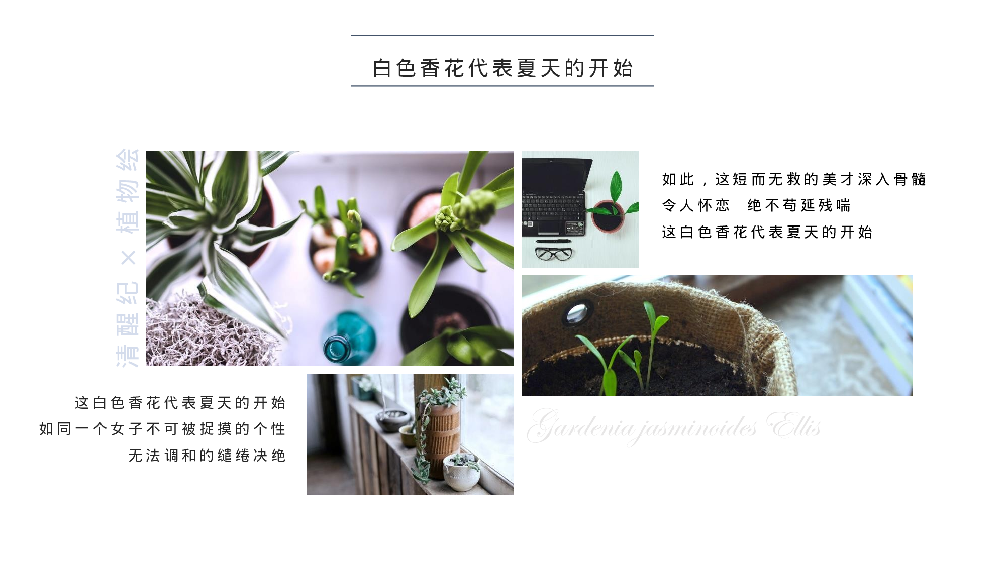 手绘风SHOUHUID-2323.pptx 第5页