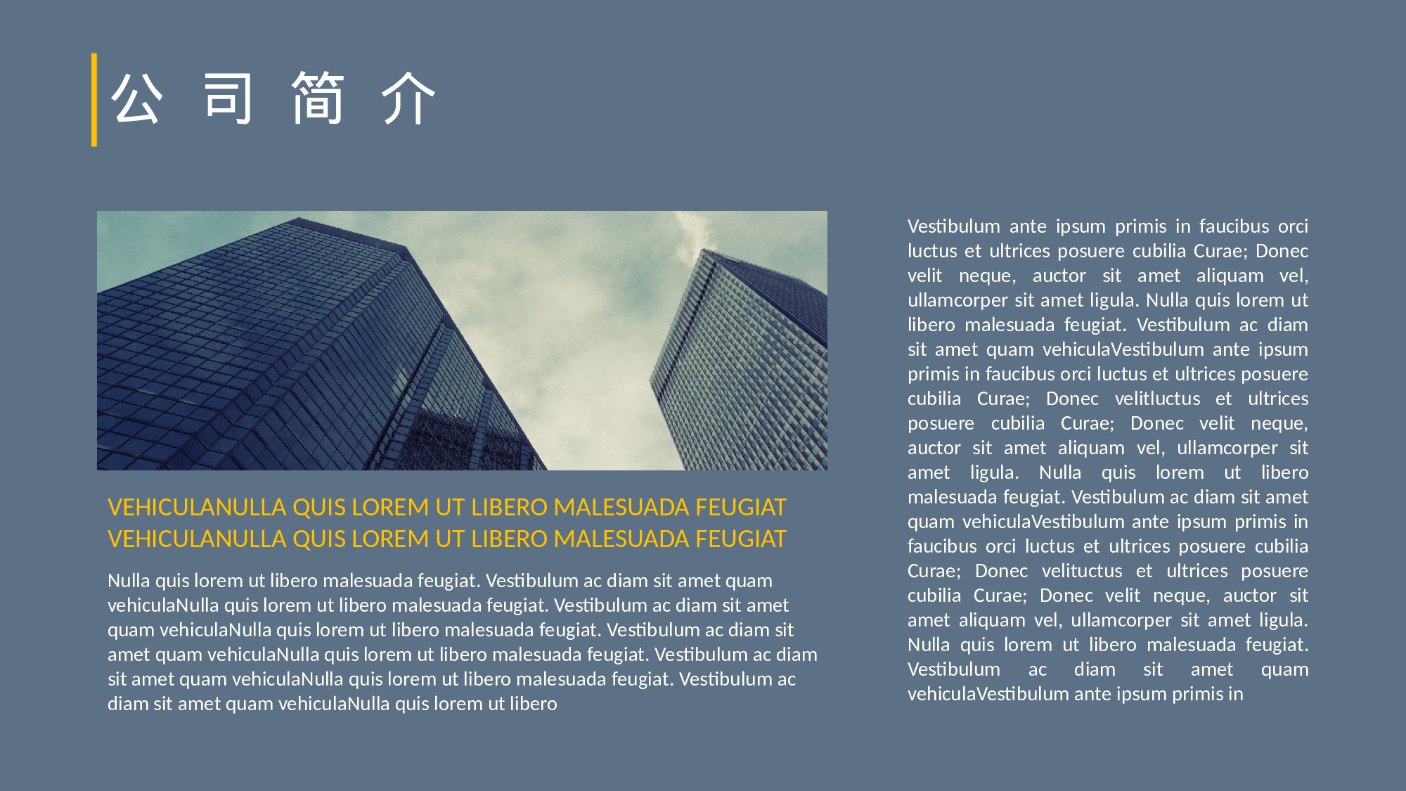 年终总结(22)[200].pptx 第4页