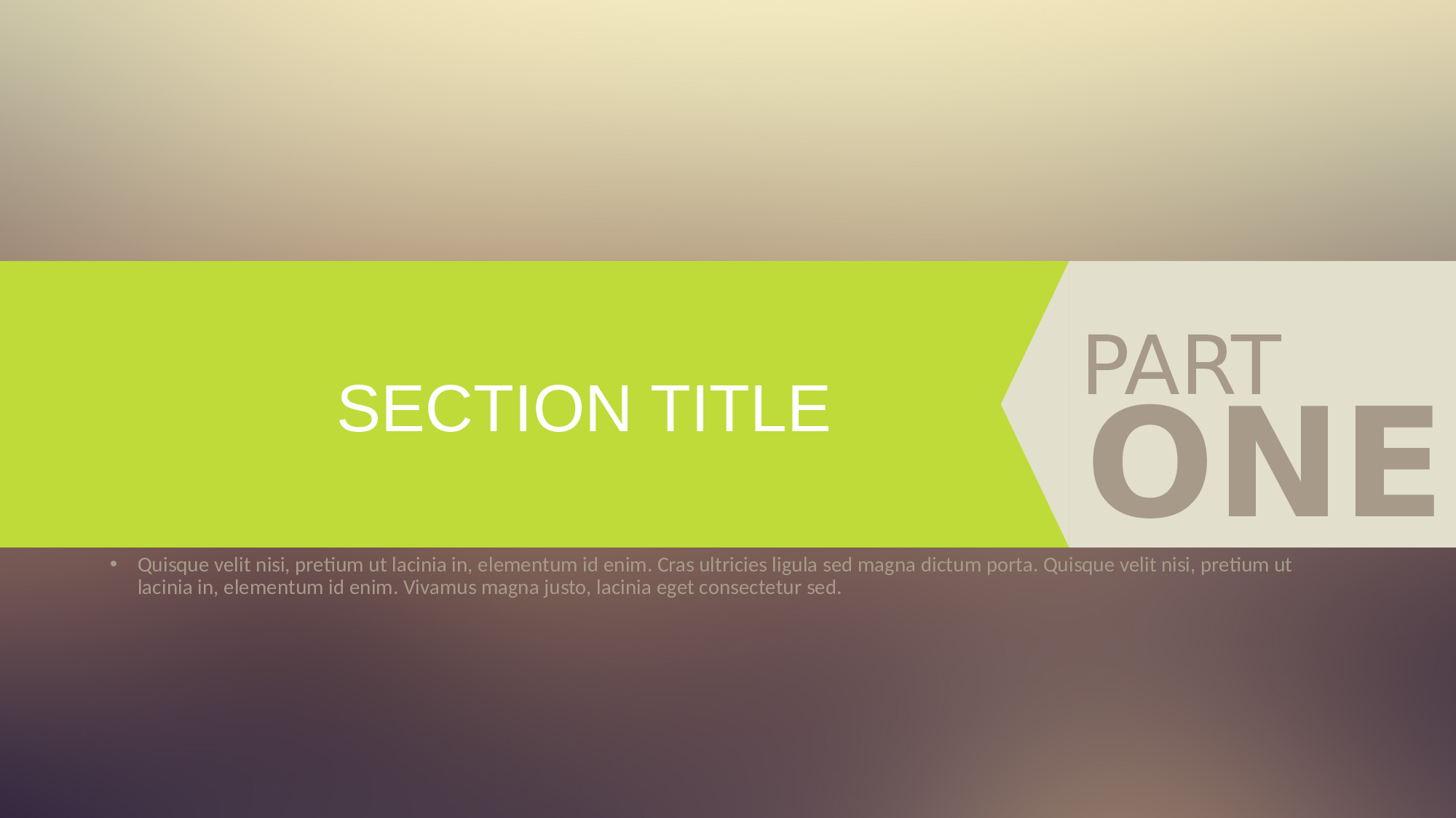 年终商务工作总结模板03038.pptx 第3页