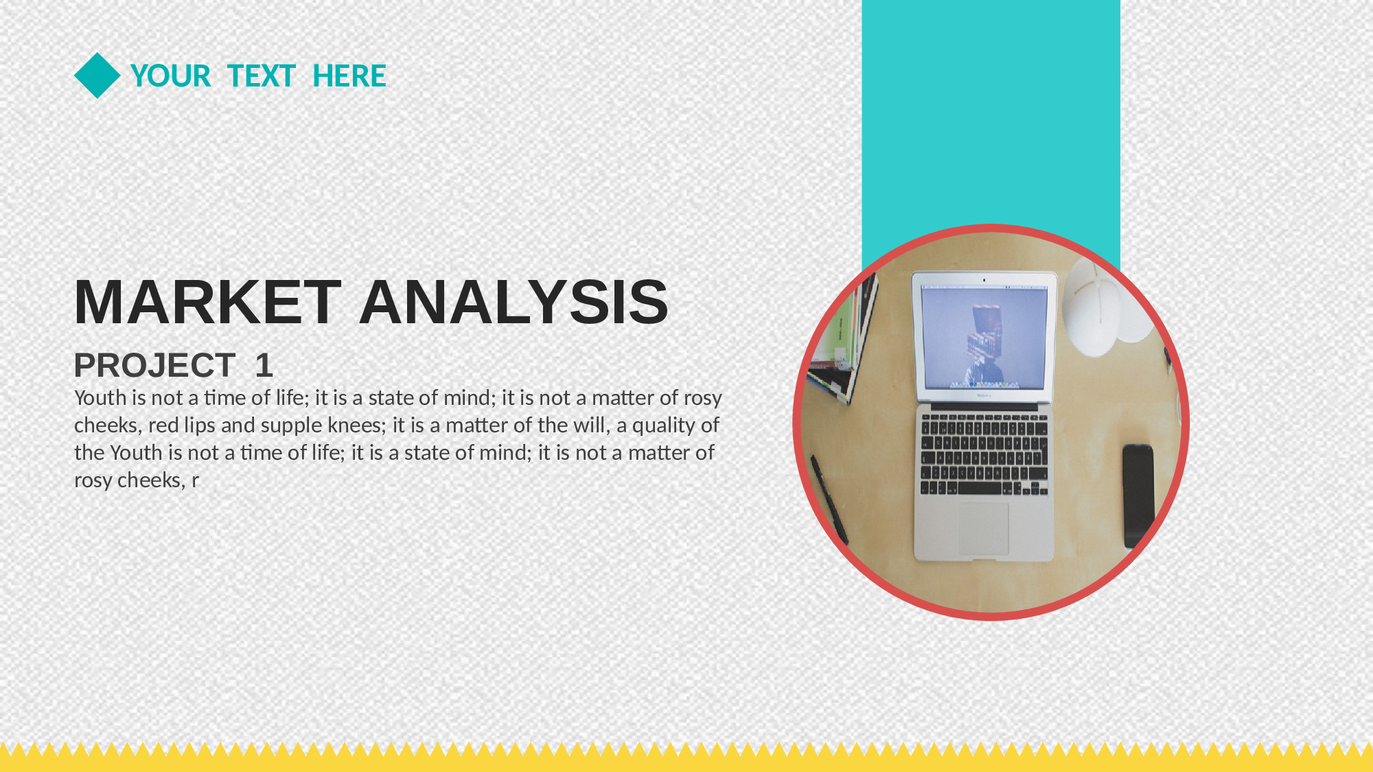 年终商务工作总结模板09098.pptx 第4页