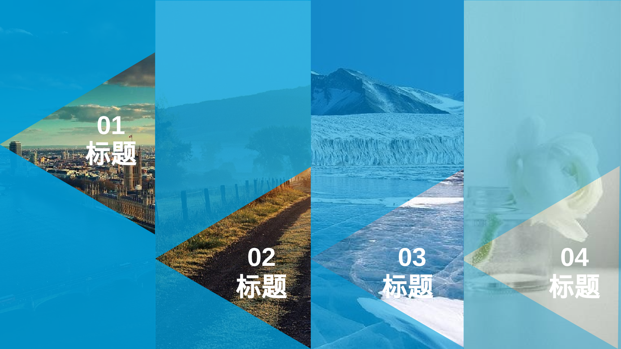 年终商务工作总结模板07179.pptx 第2页