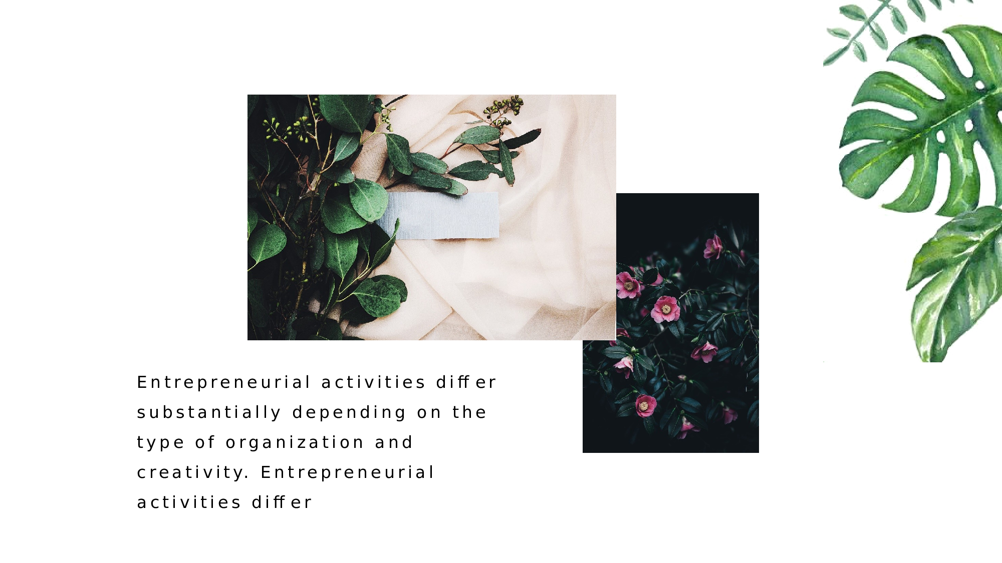 清新北欧风 (17).pptx 第4页