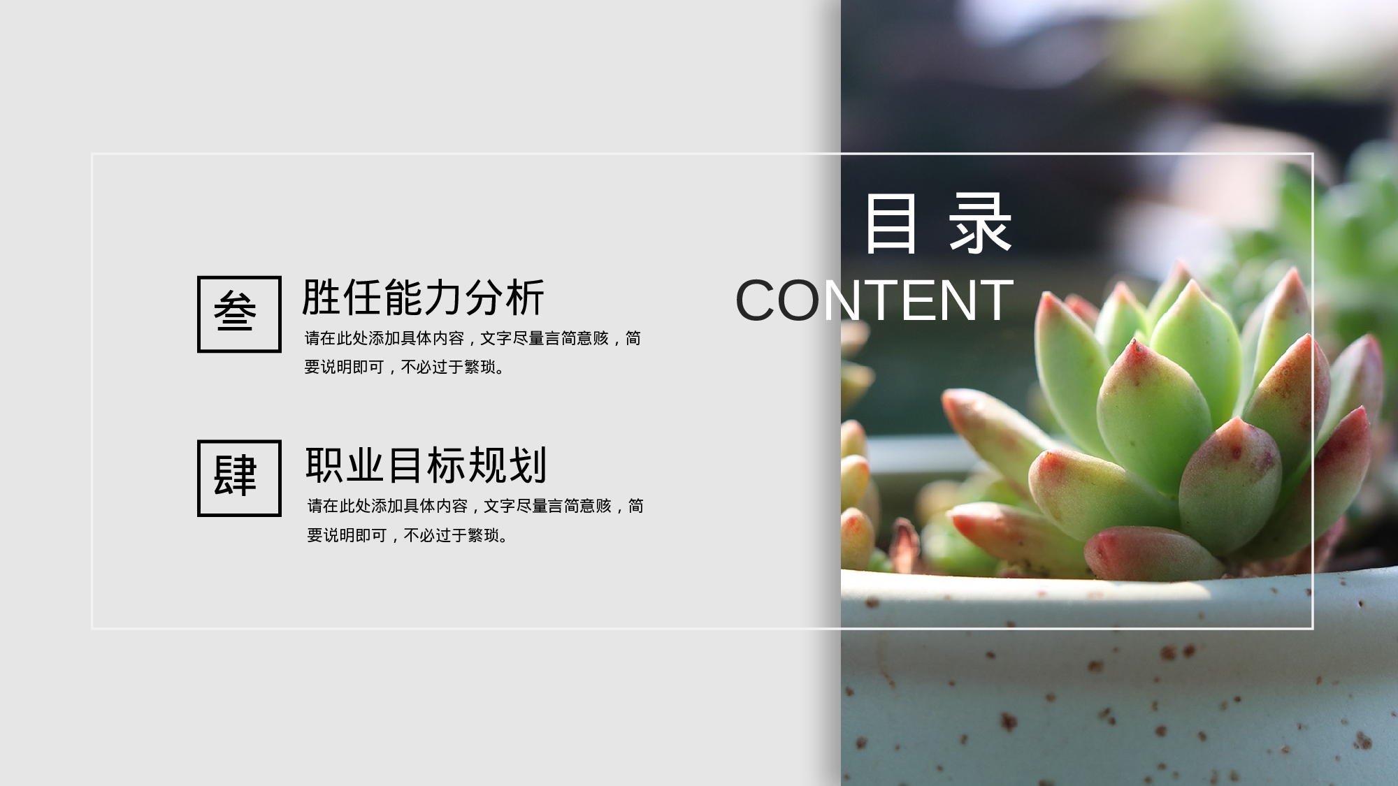 清新北欧风 (18).pptx 第3页